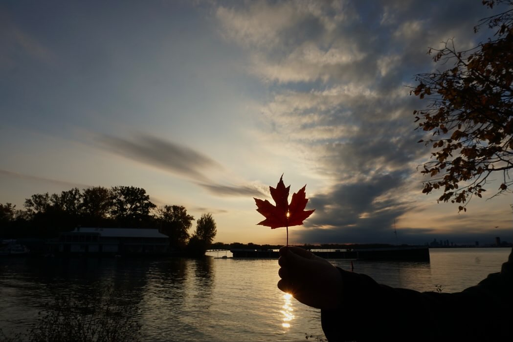 Autumn landscapes across Ontario