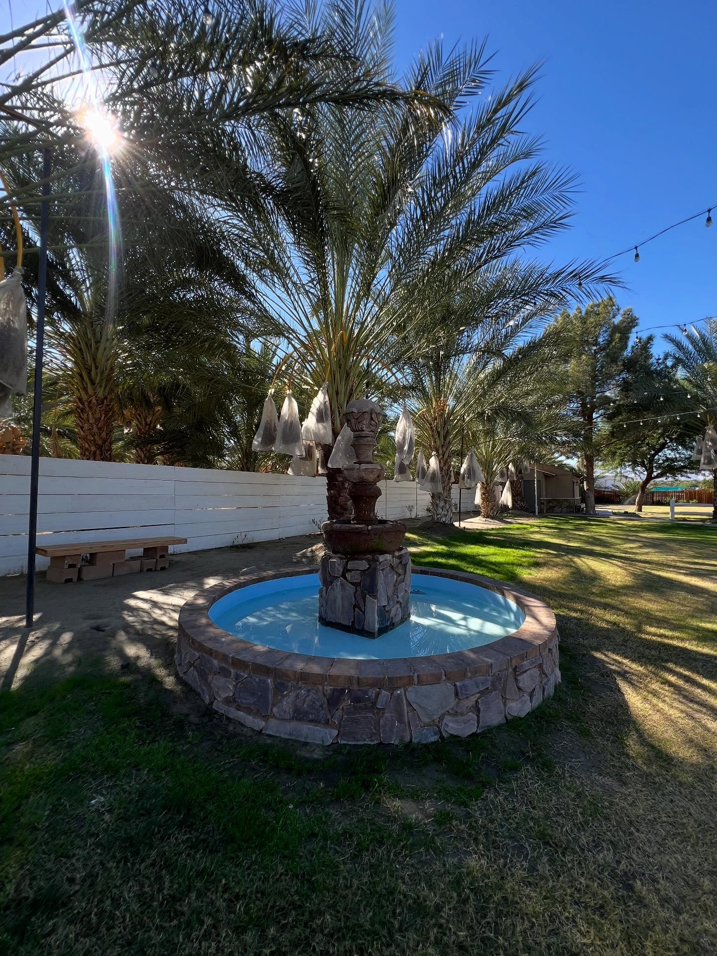 Where love flows as beautifully as the fountain 💞✨