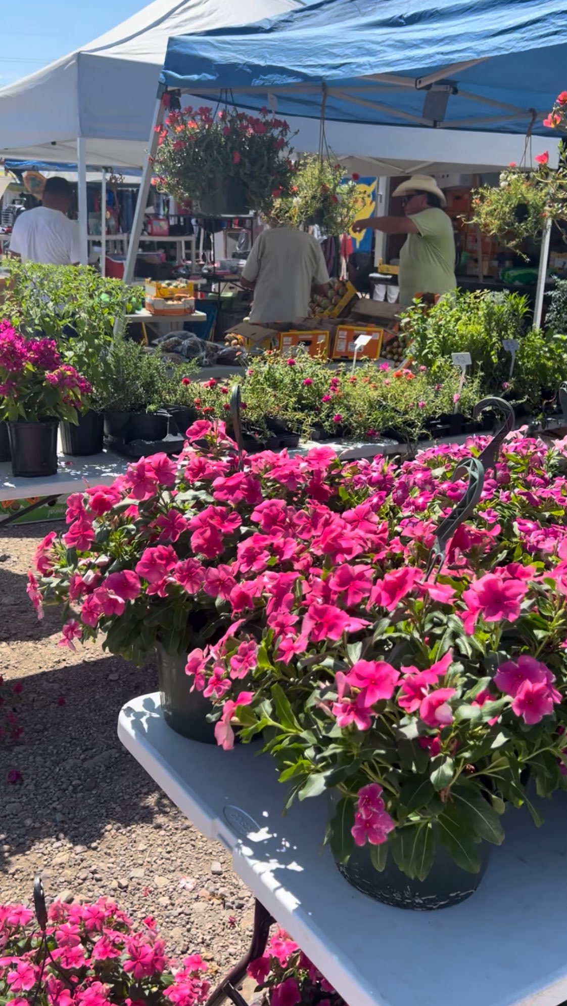 We love our community! Our fantastic vendors bring quality products, joy and hard work to every single weekend. We couldn’t do it without ‘em! So come support local and meet the folks who make it all possible.
.
.
.
#marketvendor #smallbusiness #localbusiness #shoplocal #supportsmall #fleamarket