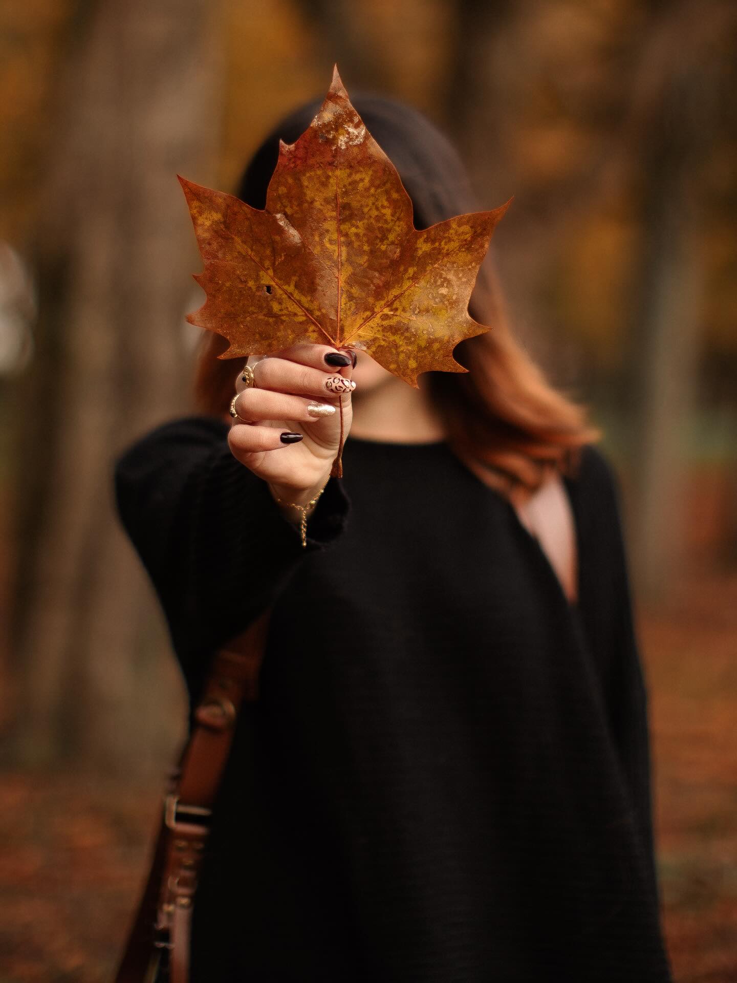 🍂 L’automne, cette saison où la lumière devient poésie.
Derrière chaque photo, il y a une émotion — et en automne, elles se teintent d’ocre, de cuivre et de nostalgie. 🧡
Ma saison préféree et de loin .. 🫶🏼
📸 Elodie.B - Photographie 🪩
Photographe basée en Seine-et-Marne & IDF.
Mariage, Maternité, Naissance & Famille.
🌐 www.elodiebphotographie.com
@elodie.bphotographie
elodie.b-photographie@outlook.com
#photographe77 #photographeseineetmarne #photographeiledefrance #photographemariage #photographemariage77 #photographematernite #photographematernite77 #photographegrossesse #photographegrossesse77 #photographeparis #shootinggrossesse #shootingbebe #shootingnaissance #shootingnaissance77 #shootingmaternite77 #automne #photographe #photographielovers #feuillesdautomne #portraitartistique #emotions #lightandmood
