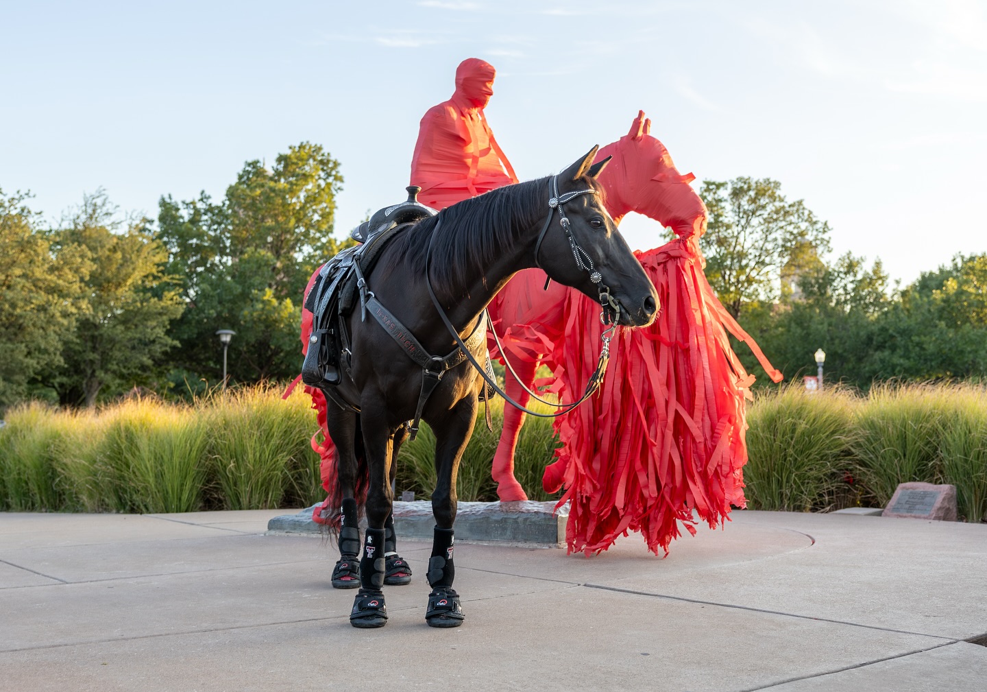 Happy @collegegameday Red Raiders!