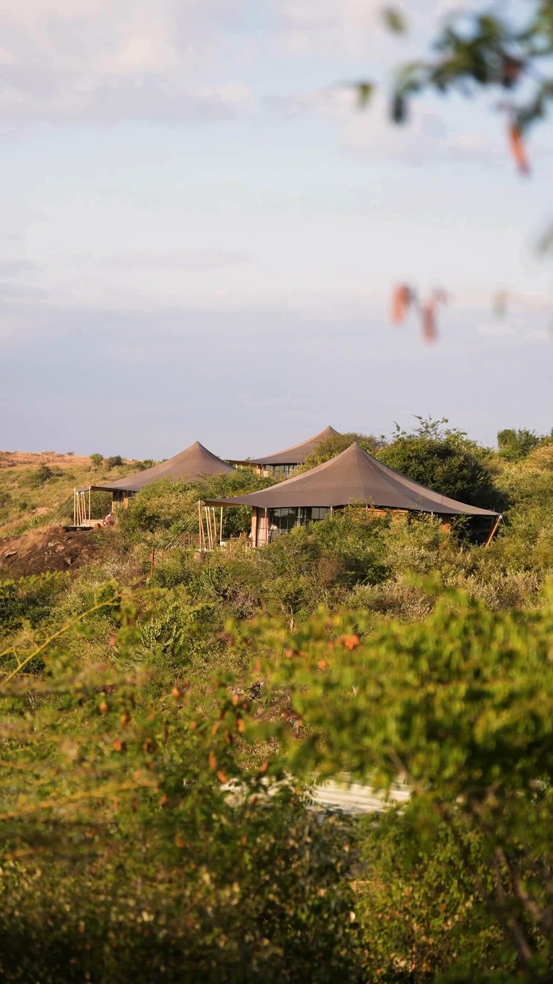 Loisaba Conservancy and Elewana Collection: A Partnership That Protects
At Loisaba Conservancy, we believe in letting experts do what they do best. That’s why our partnership with Elewana Collection is so powerful.
Loisaba focuses on managing and protecting the landscape, supporting local communities, monitoring wildlife, and ensuring the habitat thrives for generations to come.
Elewana delivers world-class hospitality, hosting guests in three luxury lodges where comfort meets conservation.
Together, we make your stay not only unforgettable — but impactful. Tourism generates around 50% of Loisaba’s annual income, and 100% of the tourism revenue earned by Loisaba is reinvested directly into conservation and community programmes.
So when you stay at Loisaba with Elewana, you’re not just seeing wildlife... You’re helping protect it.
📍 Loisaba Conservancy | Stay with Elewana
#LoisabaConservancy #ElewanaCollection #ConservationTourism #LuxurySafari #TravelWithPurpose #TourismThatProtects #SustainableTravel #LandConnectedLifeProtected