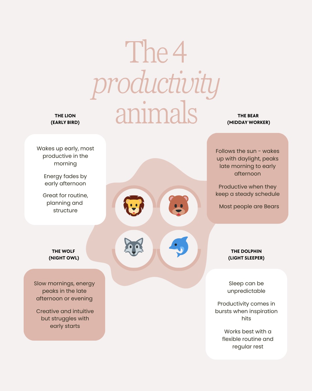 We shared a story this morning about joining the 5am club and had such an interesting response! It got me thinking about how different our energy patterns are - some people are wired for early mornings, others do their best work later on.
There’s actually a thing called chronotypes - basically, your natural rhythm for sleep, focus and productivity.
Here are the four main ones...
🦁 Lion - early riser, focused and organised.
🐻 Bear - steady and reliable, follows a natural rhythm with the day.
🐺 Wolf - creative night owl, hits flow later on.
🐬 Dolphin - light sleeper, works best in short focused bursts.
There’s no one-size-fits-all when it comes to productivity, it’s more about knowing what works for you and planning your day around it.
Which one sounds most like you?
#chronotype #energy #productivity #smallbusiness #smallbusinessuk #freelancer #wfh #motiviation