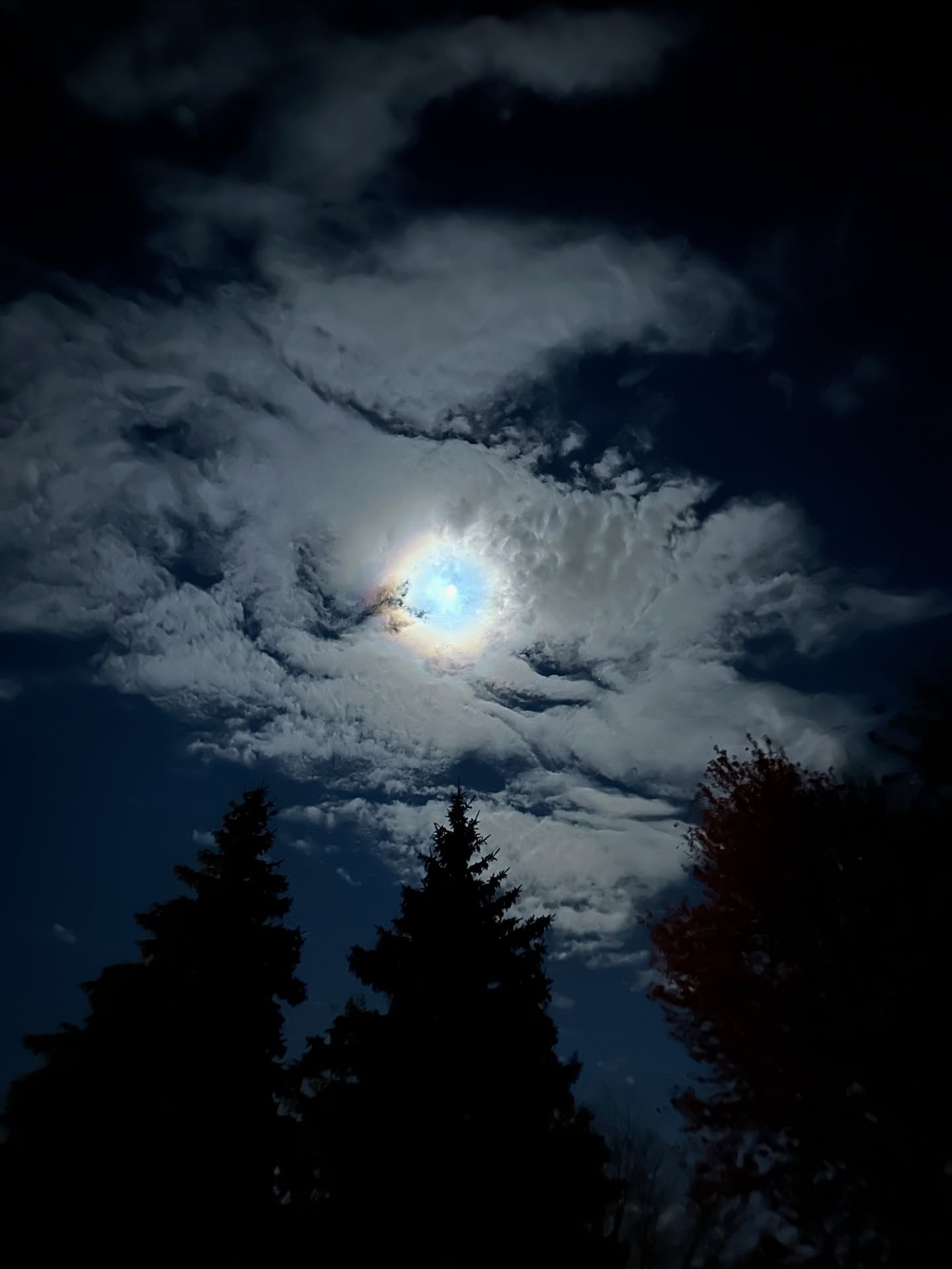 🌕 full moon alert and tonight’s Beaver Moon is the largest and brightest super moon of 2025.
.
get those crystals out, those intentions set and remember…
.
just like the moon we go through patterns of light & dark, space & fullness. We may not always shine the same, but we are always whole 😘🫶🏼
.
🌕🌖🌗🌘🌑🌒🌓🌔
.
.
.
.
#alittlesomethingalotoflove #fullmoonenergy #joybombsformoms #moonlovers #skylover #moonlight #intentionsset #fullmoonvibes #fullmoonritual