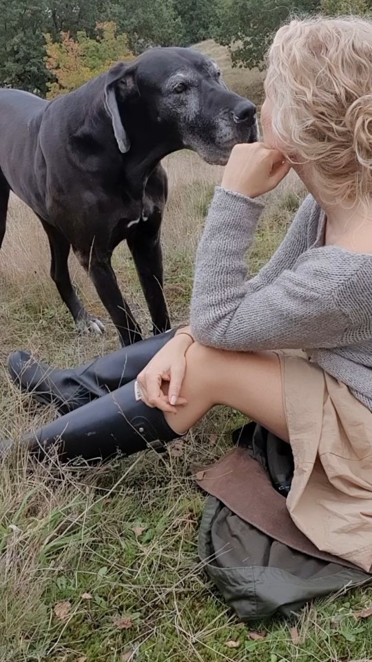 LAD DET FALDE…
Nogle gange handler det ikke om at opnå eller “blive mere” i livet for at føle, at vi “lykkedes”.
Hvad hvis “at lykkes” kræver noget helt andet af dig?🌱
Find det, der skal "falde"
Ofte er det om at vække det, din sjæl har kaldt på længe. Lytte og spotte, hvad der har fyldt og “taget pladsen”✔️
Når du finder DET... giver du plads til det, din sjæl inderst inde ønsker sig✔️
Reflektér over:
Hvilken sandhed var DIN, før verden lærte dig at tvivle på din egen stemme.
• Hvilke tanker, vaner og handlinger “tager pladsen/energien” fra det vigtige?
• Hvad går “imod” dit mål?
• Hvad skal jeg slippe, ændre eller lade falde?
• Hvordan vil det føles at lykkes med det, dit hjerte kalder på?
— Tør du at lytte — og tør du lade det falde?
Ønsker du støtte i din udvikling, sparring og ny inspiration på dit eget lederskab i livet? - Book en uforpligtende samtale.
✔️Kontaktinfo i profilen/bio
.
.
.
LET IT FALL…
Sometimes it’s not about achieving more or “becoming more” in life to feel that we have “succeeded.”
What if “succeeding” requires something completely different from you? 🌱
Find what needs to “fall away”
Often it’s about awakening what your soul has been calling for for a long time. Listening and noticing what has been filling the space and “taking its place.” ✔️
When you find IT… you make space for what your soul, deep down, truly longs for. ✔️
Reflect on:
What truth was YOURS before the world taught you to doubt your own voice?
• Which thoughts, habits, and actions are “taking the space/energy” from what truly matters?
• What is going “against” your goal?
• What do I need to release, change, or let fall away?
• How would it feel to succeed at what your heart is calling for?
— Do you dare to listen — and do you dare to let it fall?
Wanna level up?
Do you want support in your development, sparring, and inspiration for your own leadership in life?
- Book a non-binding conversation.
✔️Contact details in the profile/bio.
Like - share and follow for more inspiration @trineebsen 🌟