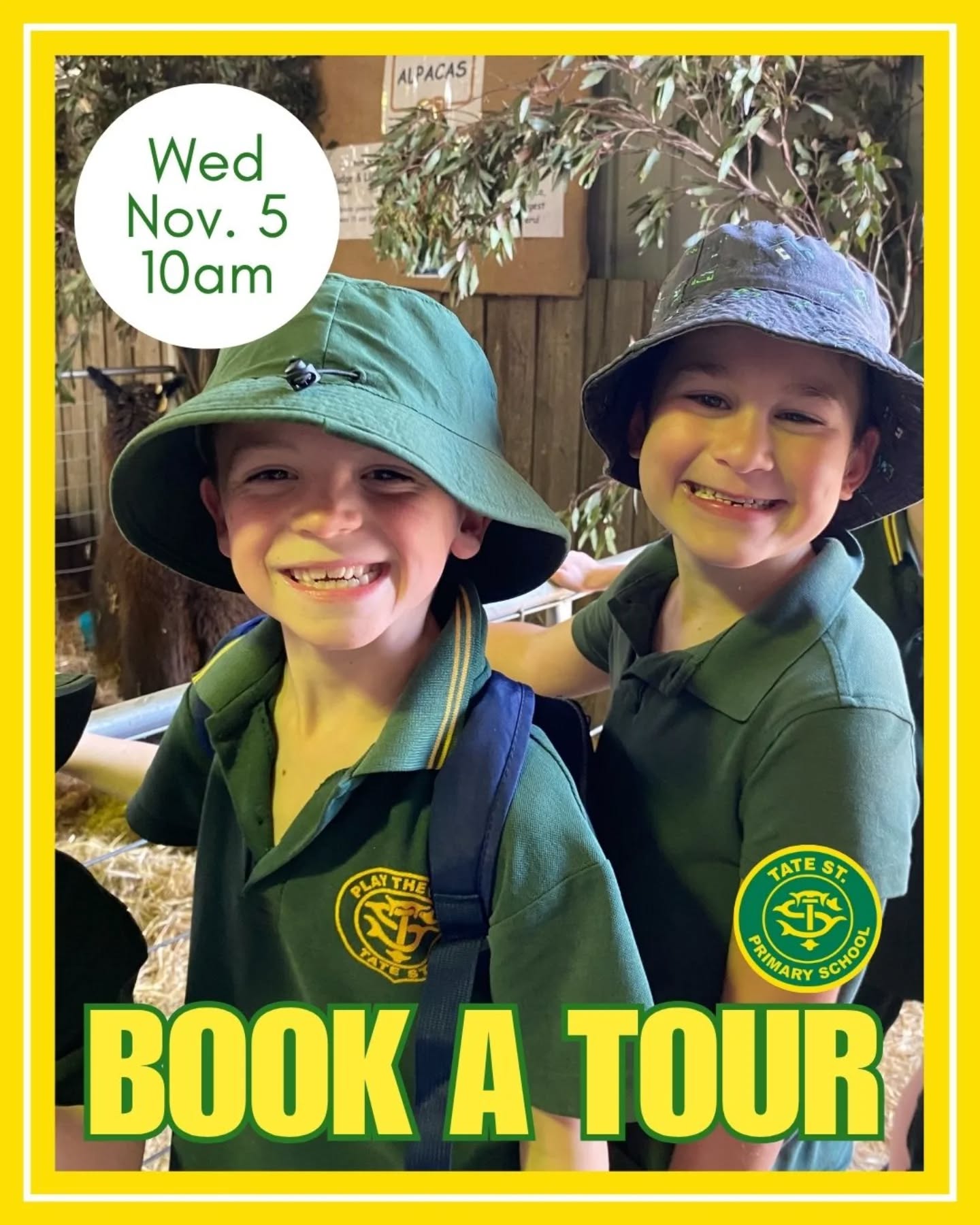 We will be running a school tour next Wednesday, November 5 at 10am. Whether you are looking at 2026 or 2027 enrolment, this is a great opportunity to see Tate Street PS in action and to learn about the amazing programs and opportunities available to all students.
Tour spots are bookable from the link in our bio or at bit.ly/tate_tour