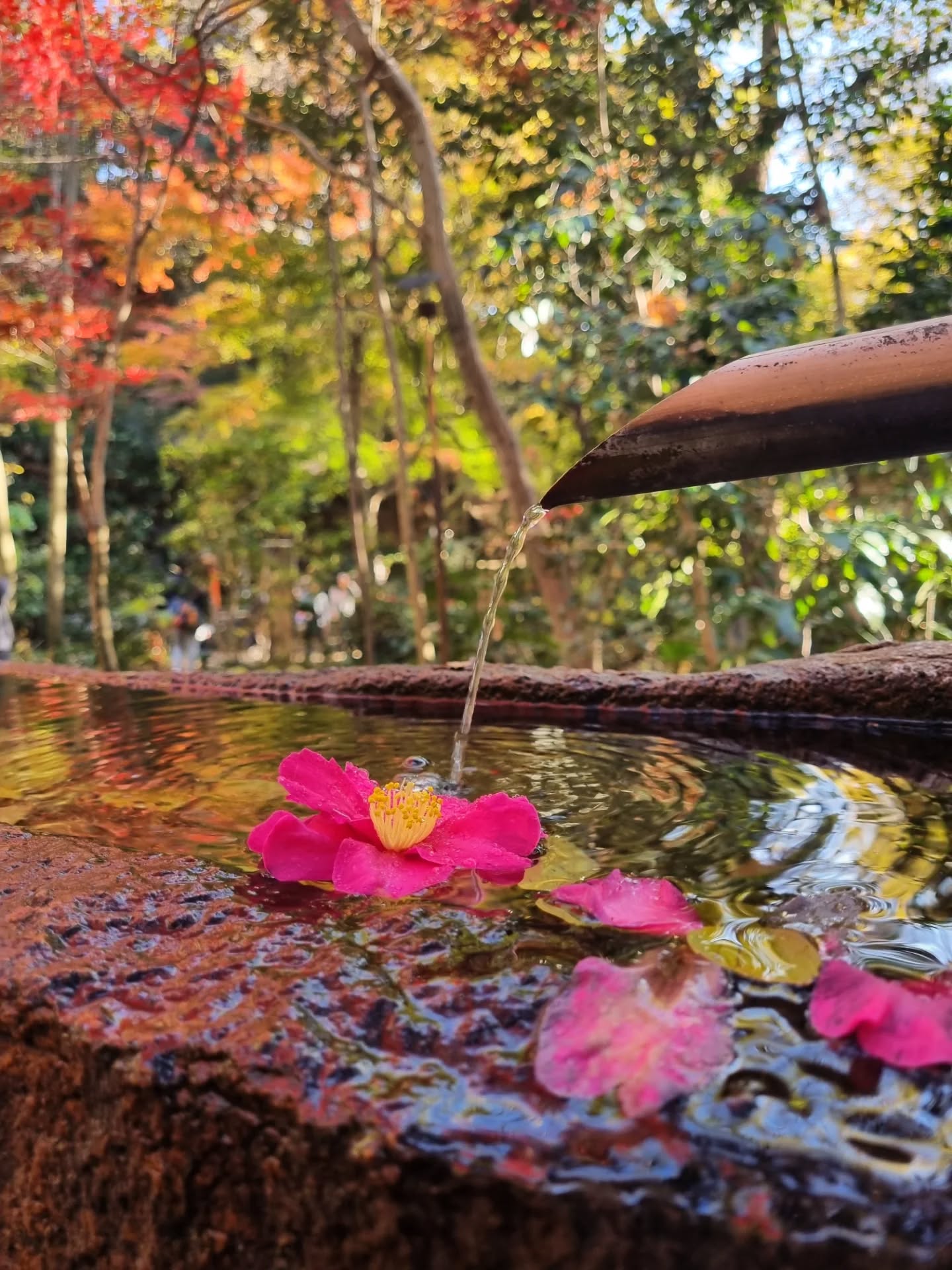 Vous avez sûrement entendu parler des yōkai, les esprits du folklore japonais, mais connaissez-vous les légendes régionales, celles qui bercent les 47 préfectures du Japon ? Visite guidée du pays à travers son folklore.
Mots-clés : folklore - légende japonaise - anthropologie
Hashtags : #folklore #legende #japon #vivreaujapon #autricefrancaise #anthropologie #mythe