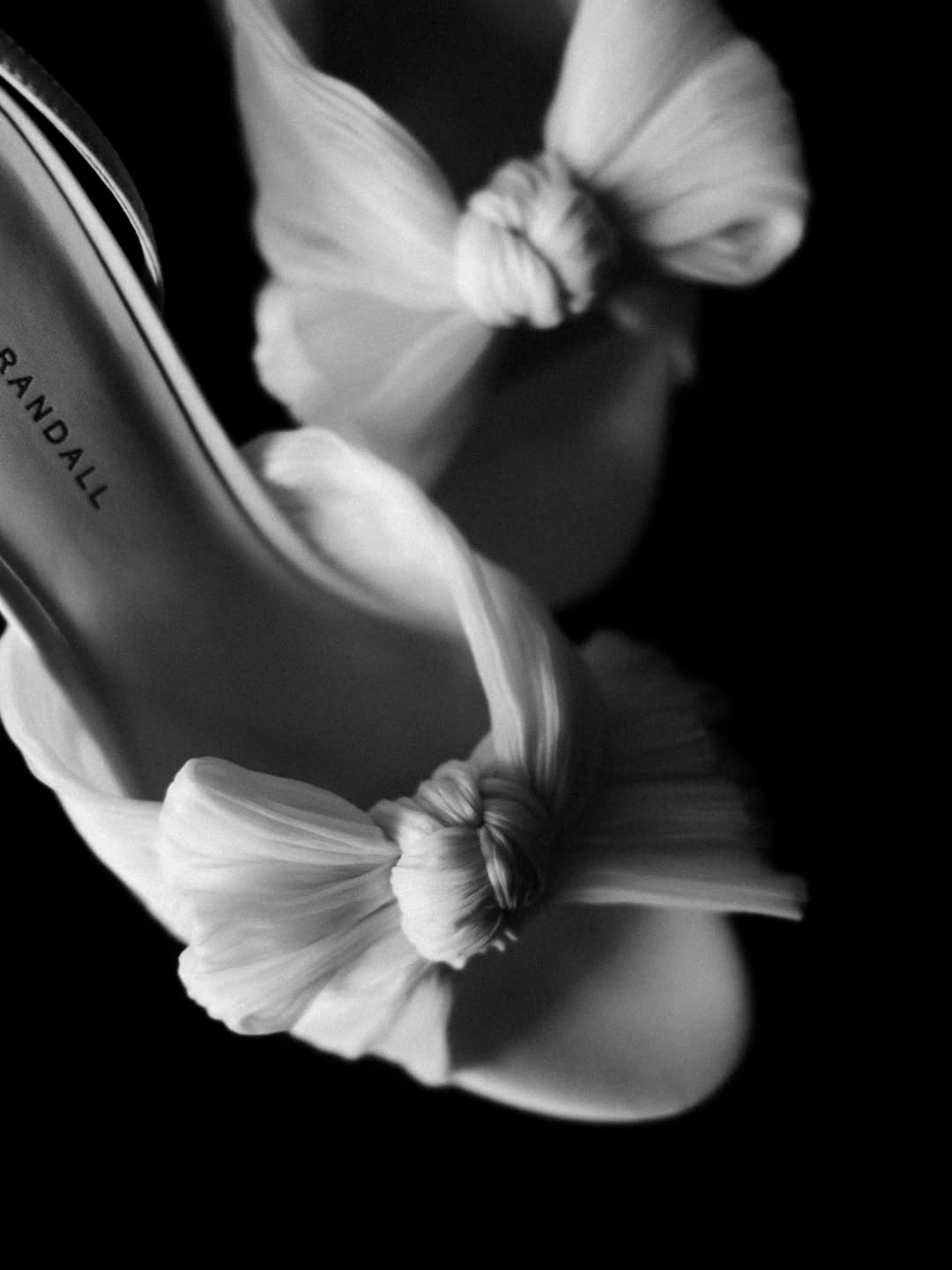 🖤
@loefflerrandall
@sarahspencecockburn
@beaumont_hall