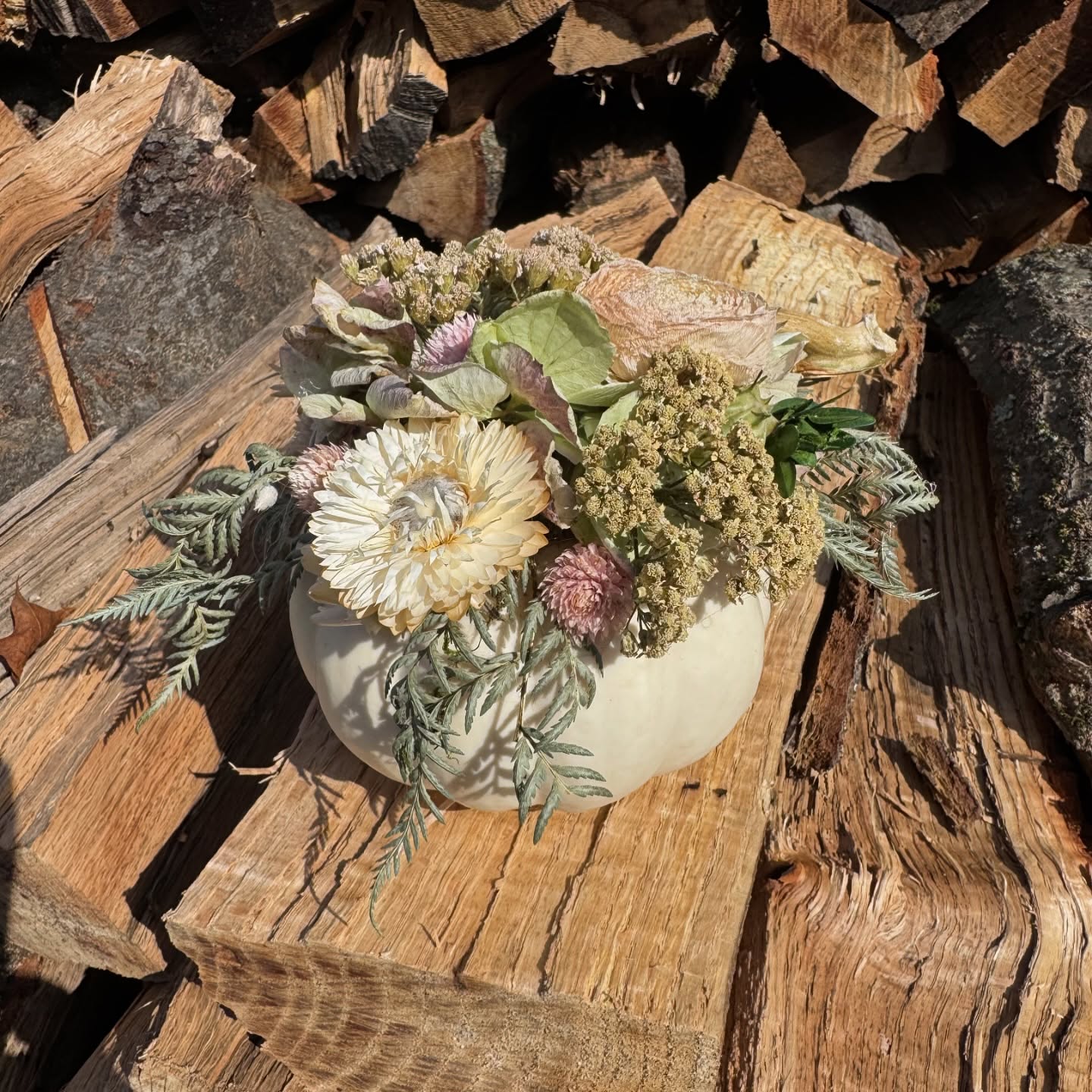 ‘Tis the pumpkin season! Ѽ
Order a pumpkin floral arrangement this fall! We offer delivery service in the Pittsburgh area! ⛟
Place your Friendsgiving & Thanksgiving orders with us now!! ⟡ ✦
#mygardenfloral #florist #pittsburghflorist #pittsburgh #foxchapel #glenshawpa #floralshop #floral #home #gift #pumpkinarrangement #pumpkin #friendsgiving #friendsgiving2025 #thanksgiving #thanksgiving2025 #fall #fall2025