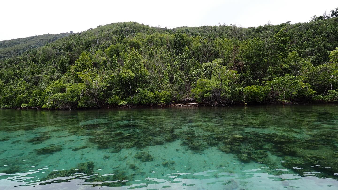 Exploring the unseen ocean life
Through rapid marine biodiversity surveys, our team collects seawater samples to capture traces of DNA left behind by marine species. These eDNA insights help reveal who lives beneath the waves essential knowledge for responsible mining and energy development across the coastal and offshore areas.
📷: IS
#eDNA #BiodiversitySurvey #MarineScience #OceanogenLab #EnvironmentalDNA #SustainableDevelopment #Mining #Energy #Indonesia #MarineConservation #ScienceForNature