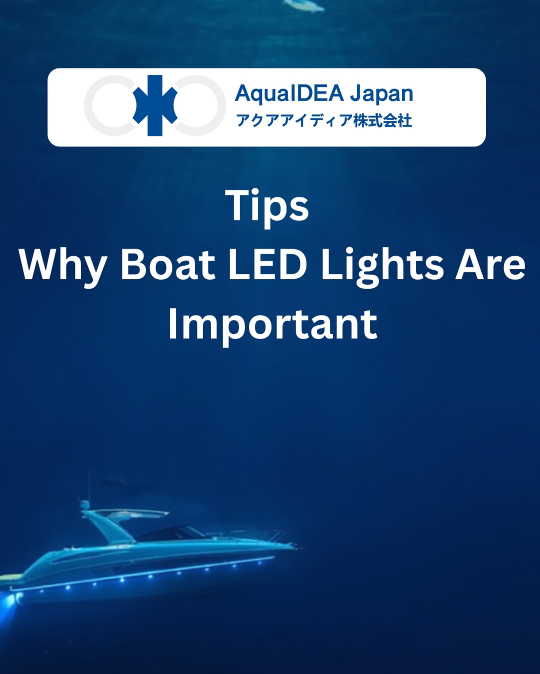 🚤✨ Why your boat needs high-quality LED lighting?
Swipe to learn how it makes your night rides smoother, safer, and more beautiful 💡🌊
💙 AquaIDEA Japan Premium underwater & boat LED lights.
👉 Swipe for today’s tip
👉 More tips coming this week!
#AquaIDEAJapan #BoatLED #MarineLifestyle #YachtLife #UnderwaterLights #BoatingTips #NightBoating #MarineUpgrades