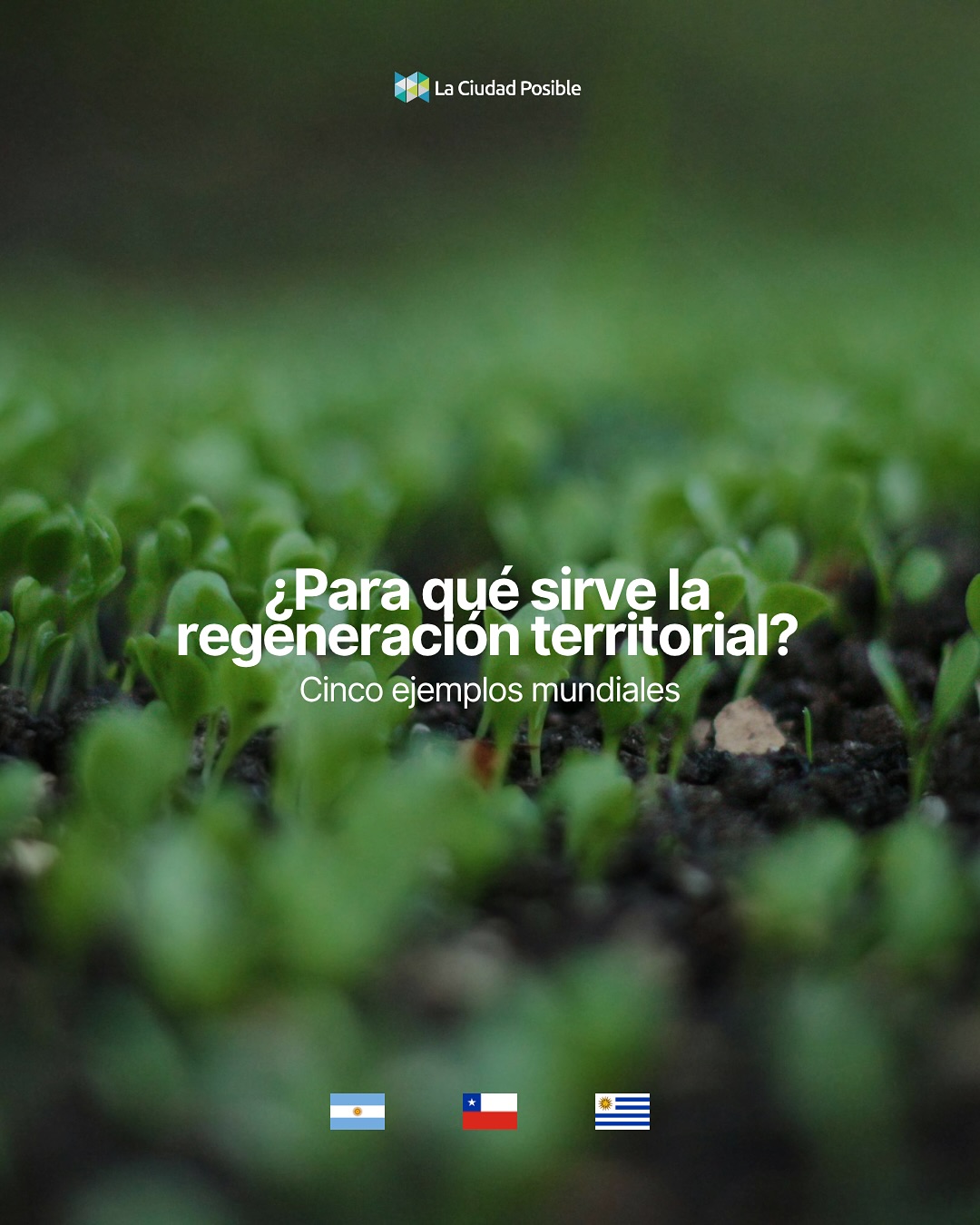 Regenerar para volver a equilibrar la vida de nuestros ecosistemas 🌱
La regeneración territorial es una herramienta esencial para restaurar los vínculos ecológicos y sociales. Permite desde recuperar biodiversidad y mejorar la calidad del agua, hasta fortalecer economías locales, asegurar alimentos sanos y reducir el impacto de desastres climáticos.
Cada acción regenerativa —reforestar un bosque, restaurar un humedal o revitalizar un suelo— es un paso hacia ecosistemas más resilientes, comunidades más fuertes y territorios que vuelven a florecer en armonía con la naturaleza. 💐
Desde La Ciudad Posible trabajamos para impulsar la regeneración como principio ecológico y cultural, capaz de restaurar la vida y el sentido de los territorios. 💪🏼
#Regeneraciónterritorial #sostenibilidad