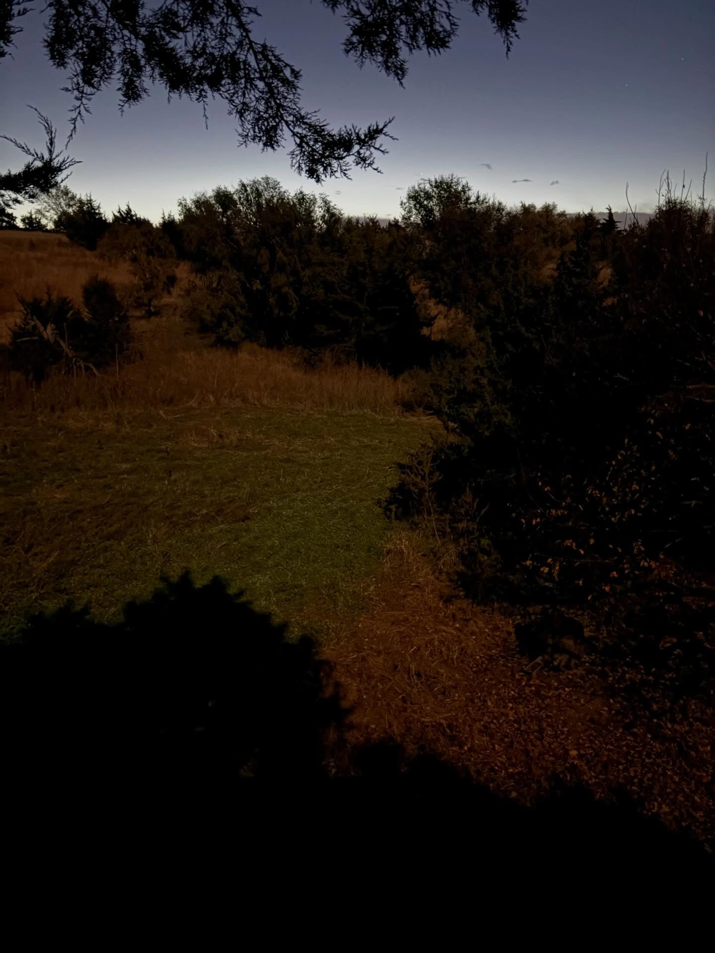 Happy Friday everyone!! 🏹🦌