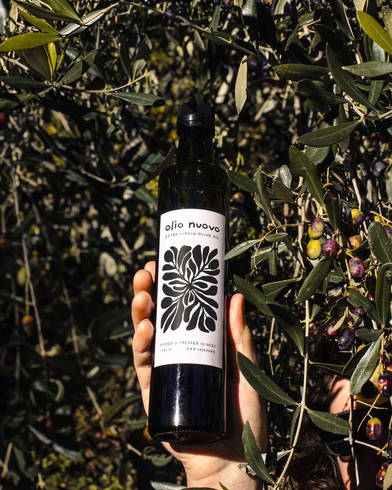 2025 harvest is here! This year’s batch is nutty, smooth, and 100% fresh. As of today, this oil was on a tree just two weeks ago. Get your 2025 bottle today