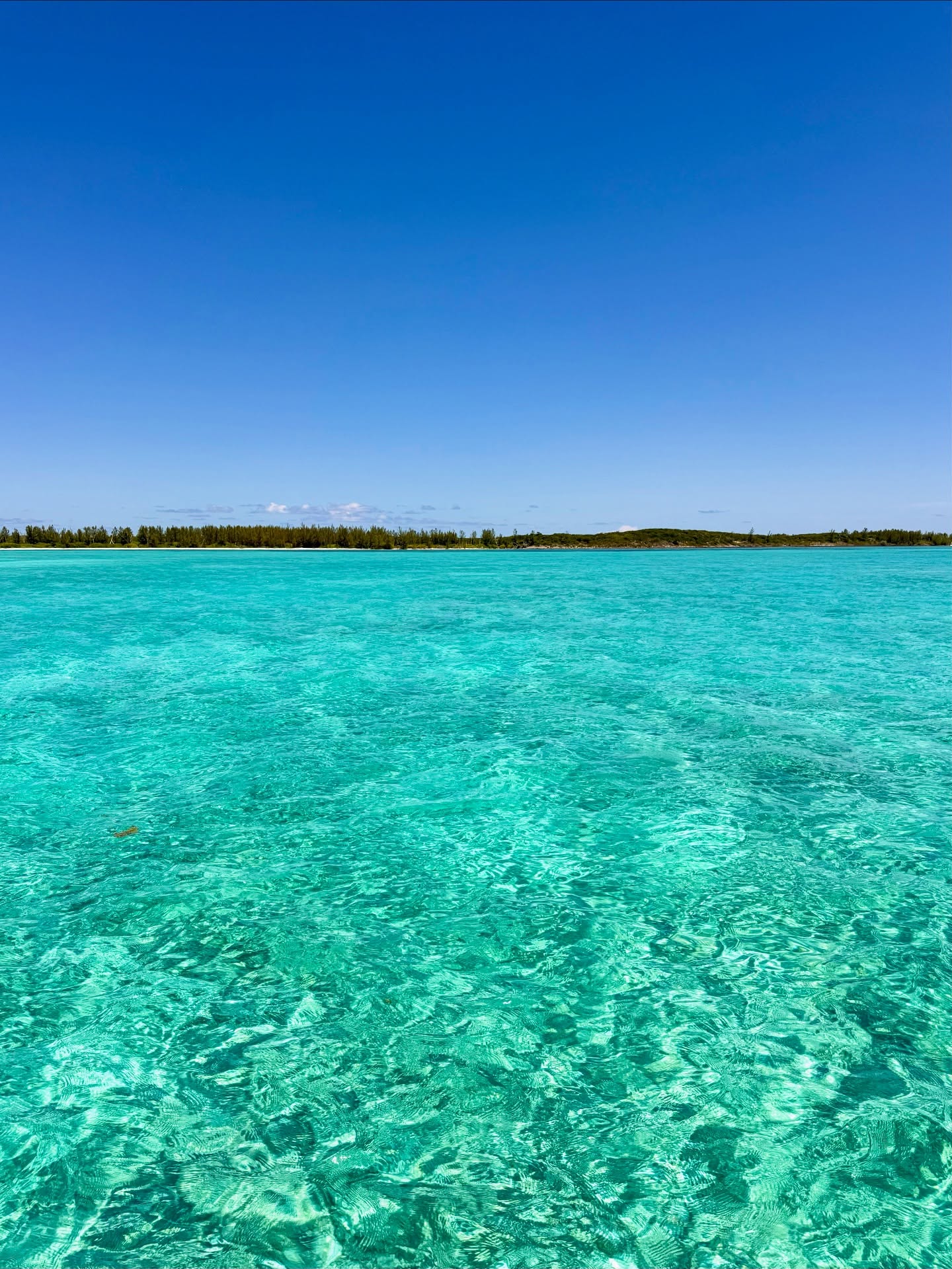 Days we dream of 🌞
Our kind of Monday blues.