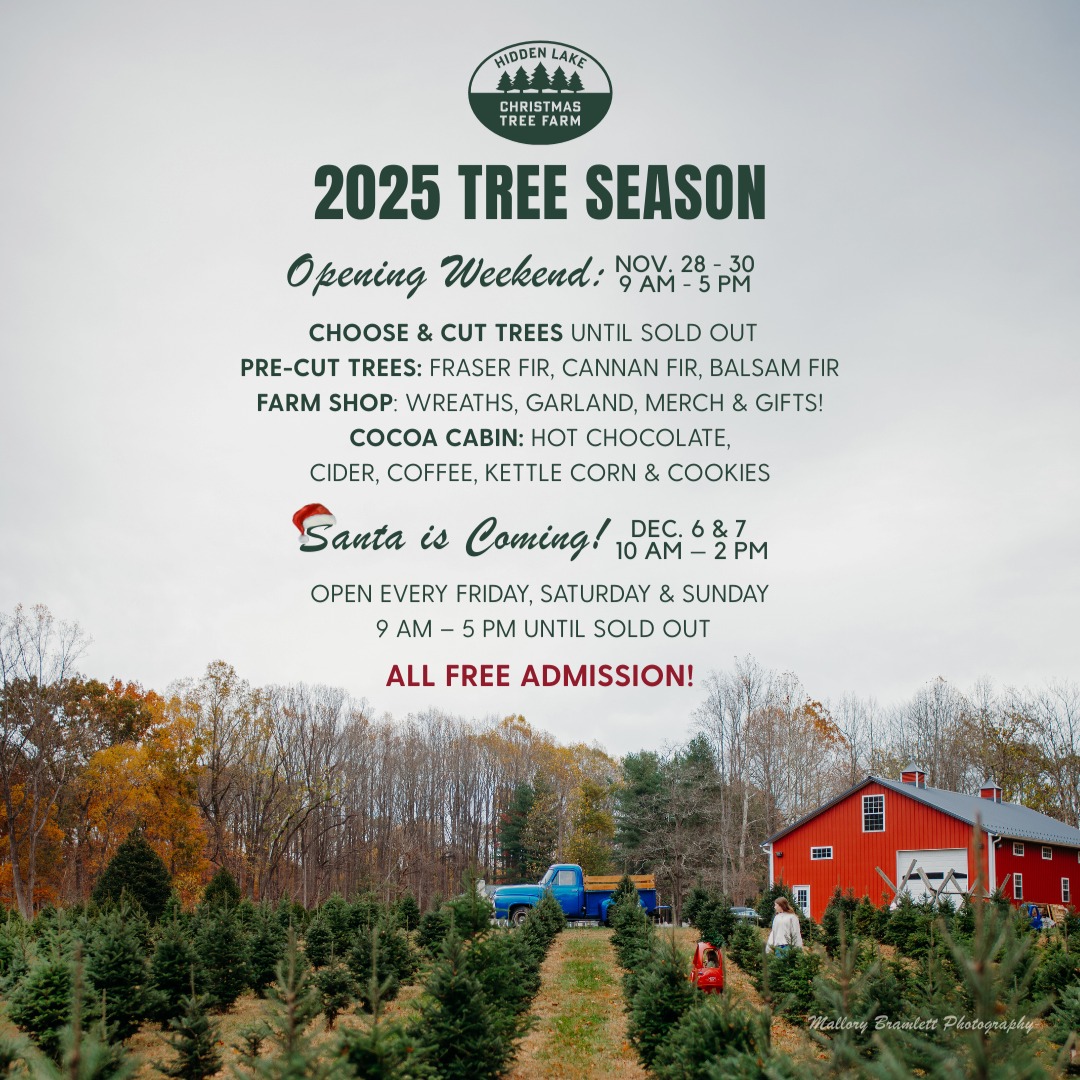 2025 Tree Season Details ⬇️
⏰ We open at 9 am on Friday, November 28th! We will be open every Friday, Saturday and Sunday 9 am - 5 pm until we sell out.
🌲 We will have various sizes and types of trees! Our choose & cut trees are Norway Spruce, White Pine and NEW Carolina Sapphire. Sizes will range from 7’ - 12’+. Our pre-cut tree varieties include Fraser Fir, Balsam Fir, and Canaan Fir. These will range in size from 3’ - 12’. All trees available for sale will have a white tag with the type, size, and price.
🎄 We will have an assortment of handmade garland (Fraser Fir, White Pine, and Fraser & Pine mix) and wreaths! New this year we will be offering door swags, candy cane wreaths, and kissing balls!
☕️ The Cocoa Cabin will be stocked with freshly brewed coffee, warm cider, different types of specialty hot chocolate, kettle corn, cookies and of course our Hidden Lake Farm mugs!
🍩 @madbyrdconfections will be at the farm on Friday and Saturday of opening weekend with delicious donuts!
🚫 What not to bring: You cannot bring your own chainsaw! We have saws on the farm for you to use if you cut down your tree!
🐶 You can bring your pup! Your pup must remain on the leash at all times. Please pick up after your dog even if you are out in the field! People are going to be walking through the fields of trees so it’s likely someone will step in if you don’t pick it up!
We can’t wait to see you all at the farm!