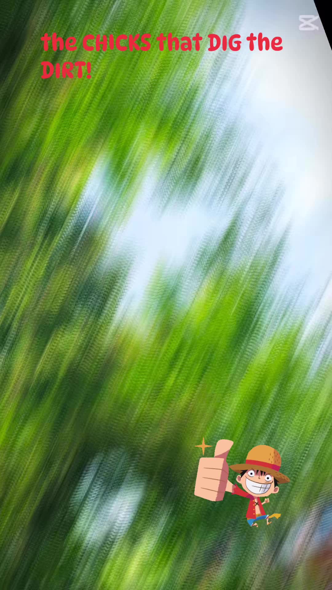 🌞 Jamieson Project Done & Dusted!
We finally got some sun and got the job wrapped up ✅👍🏻
Another space transformed into something usable, functional, and beautiful.
If you’re looking to make the most out of your outdoor area — retaining walls, usable levels, or just a total makeover — get in touch with us today 💪
#TheChicksThatDigTheDirt #ThumbsUpGardenCare #Jamieson #Landscaping #BackyardGoals #OutdoorLiving #RetainingWalls #GardenDesign #CountryLandscaping #MakingSpacesWork #BeforeAndAfter #Transformation #AussieLandscapers #RockWork #LandscapeDesign #WeekendVibes #DIYInspo #LandscapersOfInstagram #TradieLife #SupportLocal #GetTheJobDone #CountryLife #GardenCare