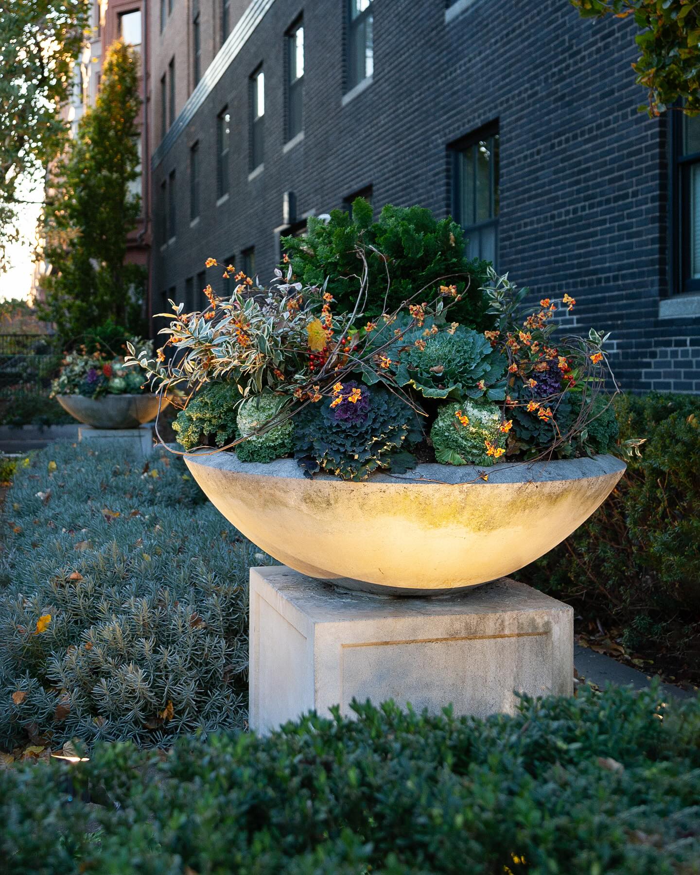 Happy Friday! A favorite fall look from last year 🍂 We hope everyone has a great weekend!!
.
.
.
.
.
#citygarden #garden #gardendesign #growsomething #gardenlove #boston #backbay #containergarden #gardenstyle #instagarden #landscaping #outdoorliving #outdoordecor #outdoordesign #gardenlife #curbappeal #windowbox #home #bhg #bhghome #bostonhome #rslove #plantlove #igboston #theprettycities #mytinyatlas #fallvibes #falldecor