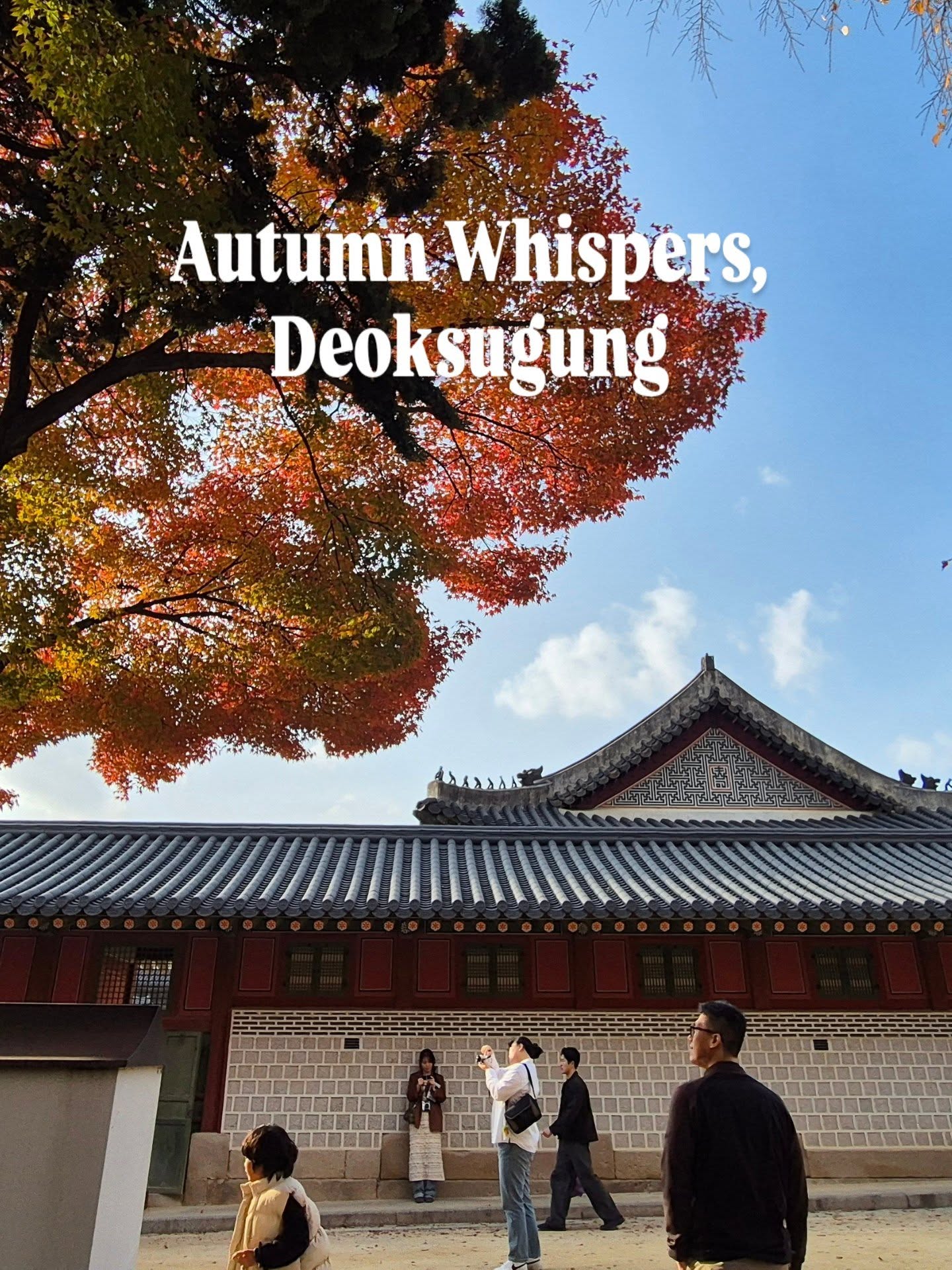 Often overlooked, yet breathtaking in autumn, Deoksugung turns into a quiet sea of gold and red.
A peaceful escape among Seoul’s royal palaces, right next to City Hall.
Not as grand as Gyeongbokgung, not as vast as Changdeokgung, but perhaps the most soulful of them all. 🍁
If you’re looking for hidden gems in Seoul, this spot is one of the best things to do in Seoul in autumn.
Walk through Korea’s modern history and feel the calm beauty of Deoksugung Palace, one of the most underrated Seoul attractions.