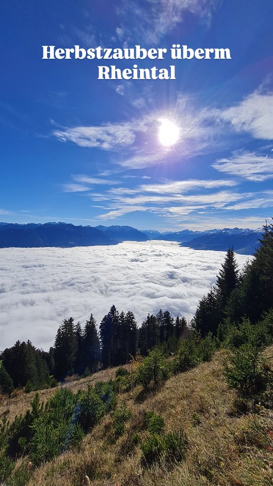 Herbstzauber überm Rheintal, wunderbare Tagestour in der Schweiz🏔
Dem Nebel entfliehen und einfach die Sonne und die wunderbare Herbsstimmung genießen 🍁☀️ nicht zu vergessen die feine Einkehr im Berggasthaus.
Wer gerne hier mit möchte, einfach DM an mich😁
Lass uns gemeinsam den Rucksack packen und die Bergschuhe schnüren 🎒🥾
#wanderführer #uimlaguide #iml #internationalmountainguide #alpstein #wandern #tagestour #mountain #bergliabi #iguideyou #naturelover