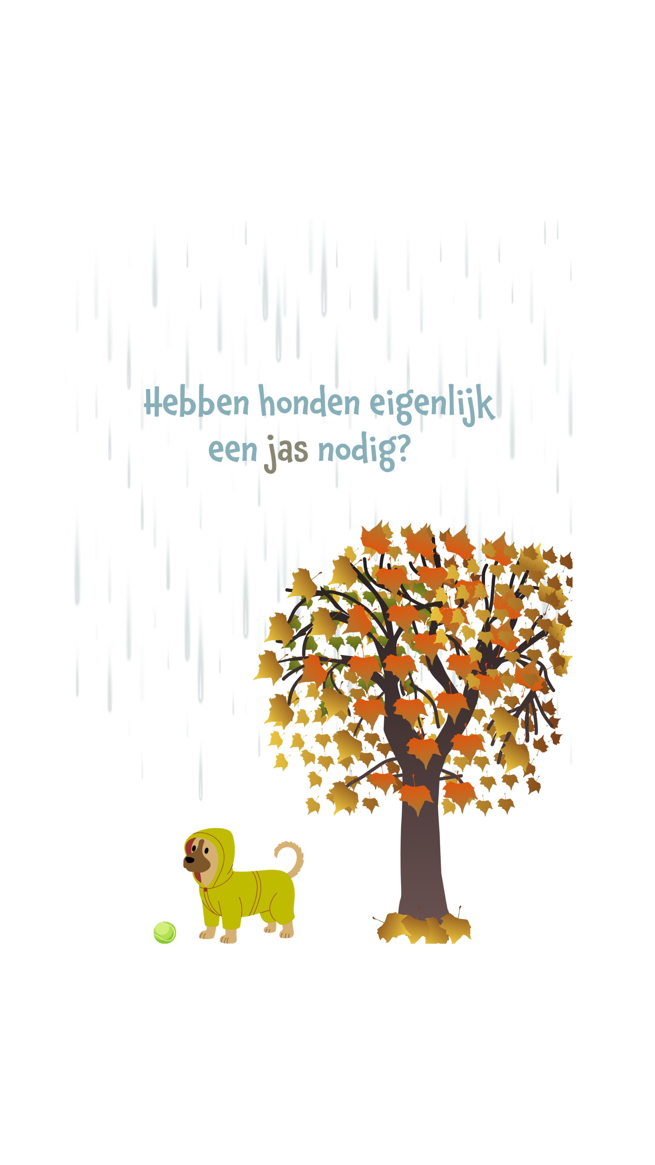 🌧️ Hond + regen = natte bende? Niet met onze nieuwe (regen)jassen! 🐶🧥
In deze reel leggen we uit waarom een goede (regen)jas écht geen overbodige luxe is voor je hond. Zeker in het Nederlandse herfstweer!
✔️ Belangrijkste organen worden beschermd tegen kou en regen
✔️ Minder modder en nattigheid in huis
✔️ Comfortabel en makkelijk aan te trekken
✔️ Nieuw: kleuren en stijlvolle modellen!
💧 Kom langs bij Snoet en ontdek de nieuwe collectie. Passen mag altijd! Neem je hond mee en samen zullen we de perfecte jas uitzoeken voor jouw hond.
#SnoetBorne #RegenjasVoorJeHond #Hondenmode #HerfstMetJeHond #DierenwinkelTwente #NatteNeusDrogeVacht #Hondenkleding #Hondentips #NieuweCollectie2025