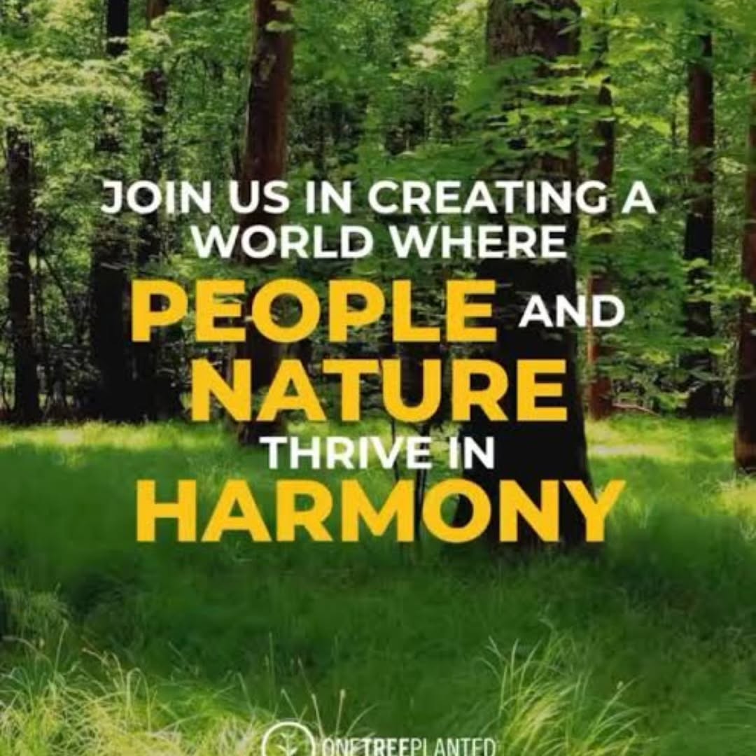 Empowering Communities, Nurturing Nature
Communities thrive when nature thrives. At Treetrom Foundation, we empower people to embrace environmentally friendly livelihoods that protect the earth while promoting social and economic stability.
Through sustainable farming, agroforestry, and conservation initiatives, we connect prosperity with preservation. By teaching communities to care for their land, we also teach them to care for their future.
A tree is not just a tree, it is a teacher, a provider, and a guardian. Let us grow them together — for our planet, for our people, for our future.
#TreetromFoundation #Sustainability #Empowerment #Agroforestry #CommunityGrowth