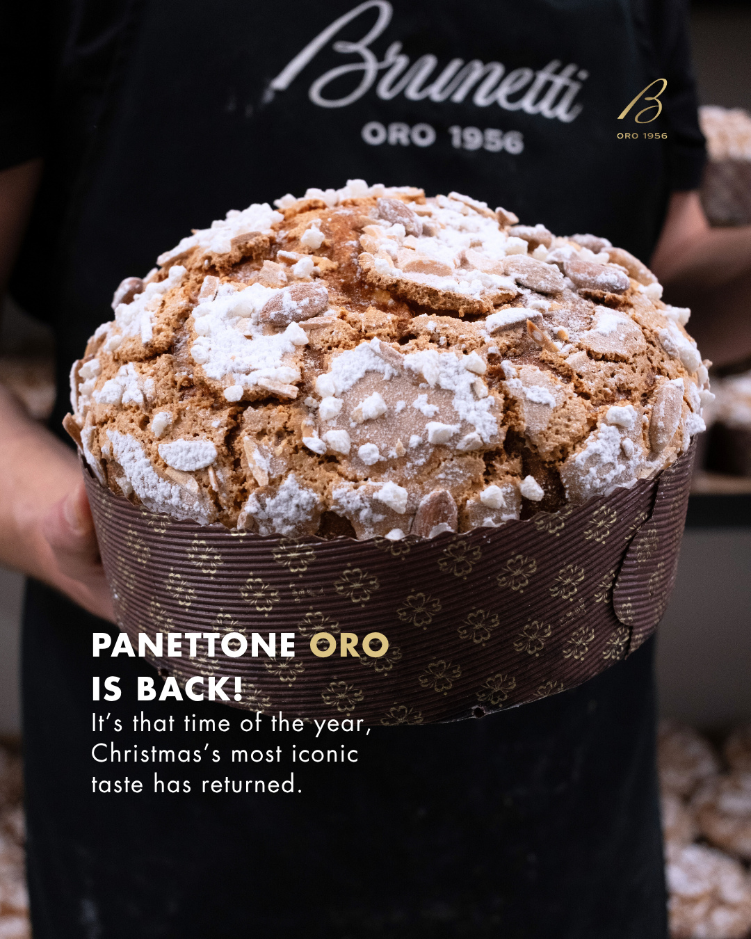 The wait is over — #PanettoneOro is back!
Handcrafted over 48 hours. Made with authentic Italian ingredients.
Only 120 baked each week.
Now available online and in-store across Melbourne.
✨ Pre-order now → brunettioro.com.au / Link in Bio
#panettoneoro #oromoments #brunettioro #panettoneaustralia #panettone #panettonemelbourne
#featured
