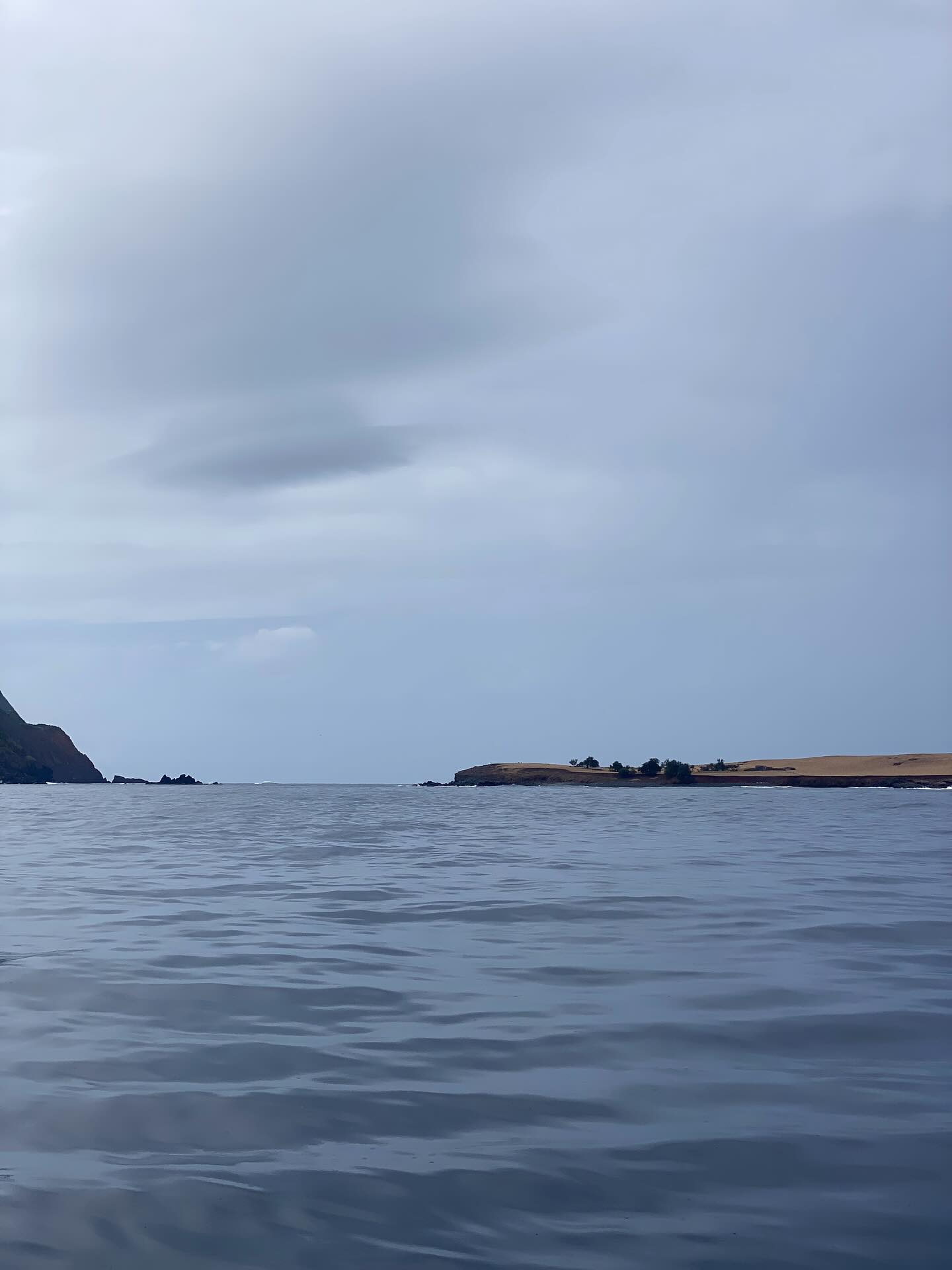 #workinprogress Pratos “Ilhéu de Topo”, 2023
.
.
“AZOREAN DREAM, Entre o gesto e a paisagem” @romanticultura @casino.azores
.
De 27 Setembro a 11 de Janeiro 2026
.
DISPONÍVEL
.
.
.
#mariacastelbrancoceramic #handamade #homedecor #inspiration #oneofakind #azoreandream #exhibition #contemporaryceramics #contemporaryart #tiles #azoreandream @anacristina.baptista.pt #flowers @vaniarebelopaim #nasceagua @quintadanasceagua #terceira #ilheudetopo #saojorge