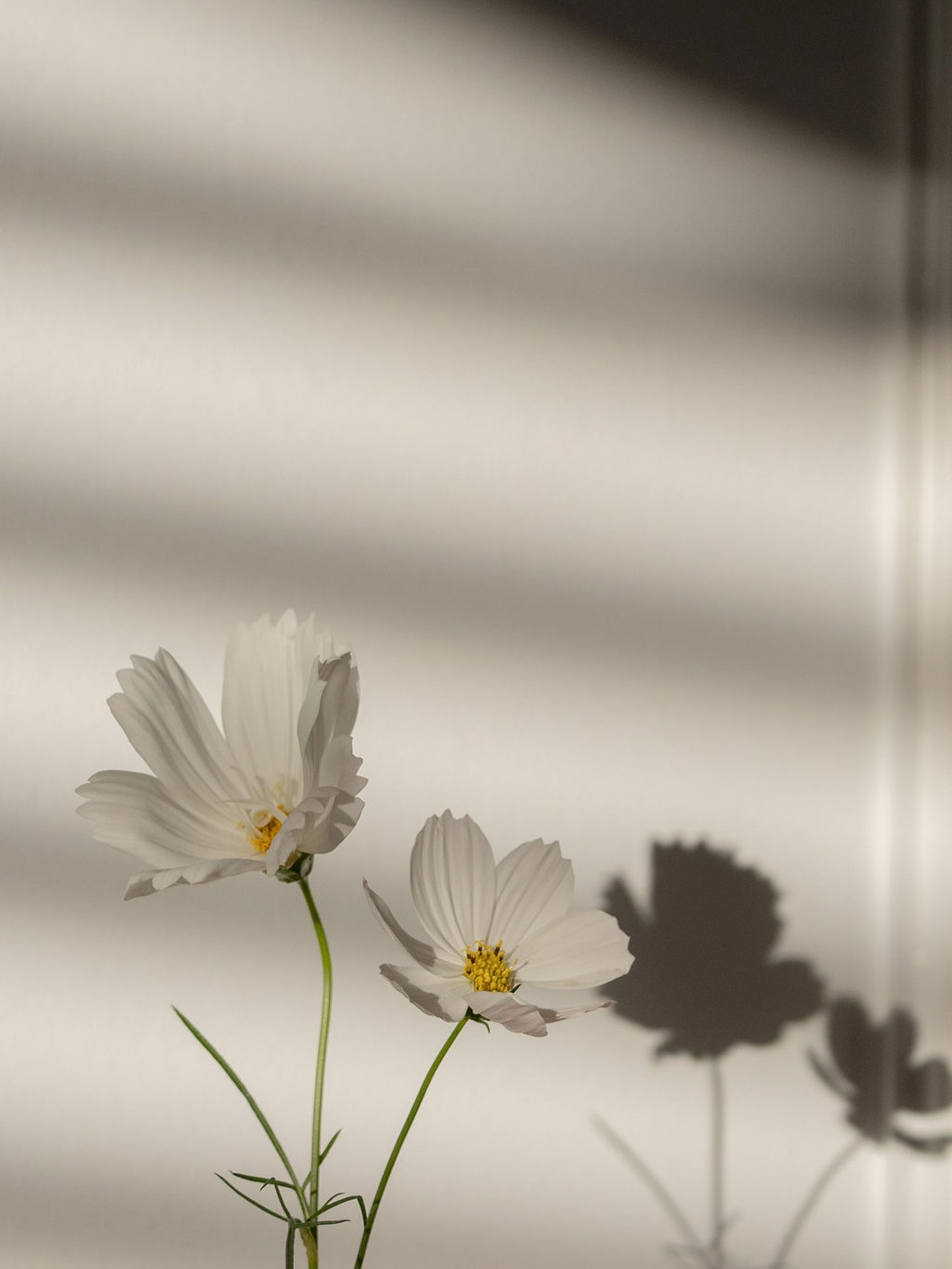 #theheracircle #aesthetics #community #female #femaleempowerment