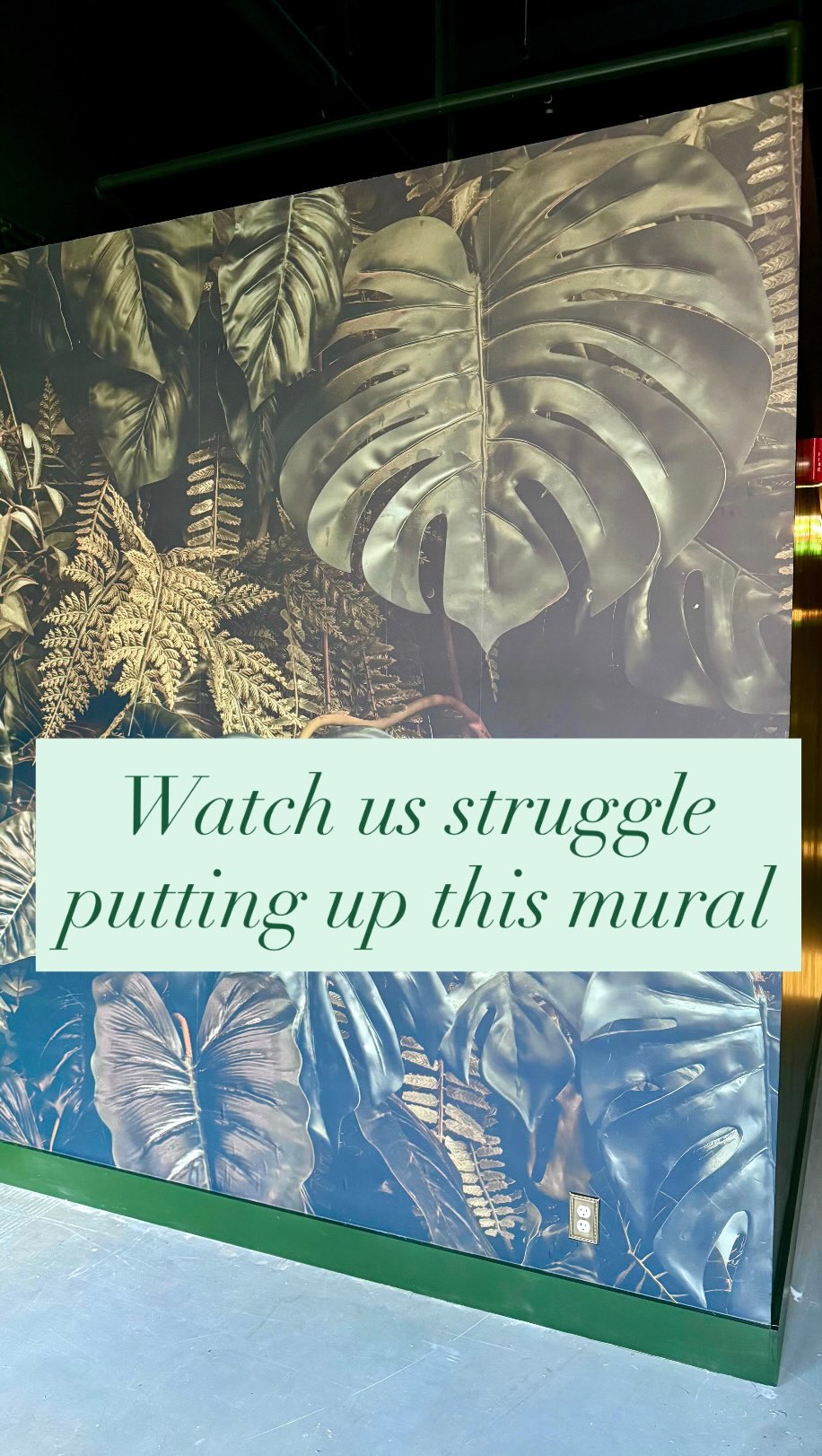 This was actually the fastest and smoothest we’ve ever put up a peel and stick mural!
It’s also the 4th one we’ve done… I wouldn’t wish this kind of torture on anyone 😂
They are tremendously difficult and particular, and after painting they were the last really hard thing we had to do! 🥳
*A huge shout out to my husband @the_nailpolish_papi for helping me do everything always*
Now it’s just small tasks, and getting furniture and plants moved in!
I can’t wait to share the final space with you all! ✨
P.S. I love watching the light move in this Timelapse!
•••Balm spa spaces will be available starting mid November!
We have 5 suites complete with cabinets and a sink to make into your dream space!
Huge rooms, free parking, amazing location.
Tons of foot traffic!
.
.
.
.
.
#spasuite #asheville #avl #riverartsdistrict #local #rad #balmsalon #localbusiness #smallbusiness #suiterental