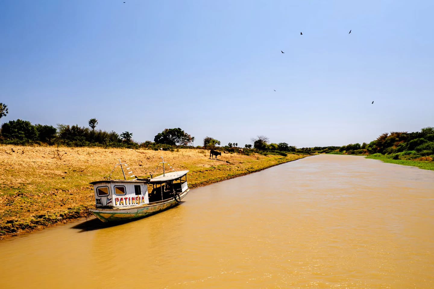 Nosso Velho Chico, na cidade de Xique-xique.
O Rio da integração nacional.