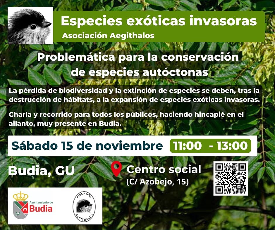 🐦🌳 ¡Nueva actividad! Os proponemos una interesante charla y recorrido por el entorno de Budia para conocer la problemática local con las especies exóticas invasoras.
📍Budia, Guadalajara
🗓️ Sábado, 15 de noviembre
ℹ️ Más información en el cartel
Recuerda que puedes mantenerte informado de las novedades de la asociación a través de su página web (https://asociacionaegithalos.wixsite.com/aegithalos).
#budia #especiesexoticasinvasoras #asociacionaegithalos #conservaciondelanaturaleza
