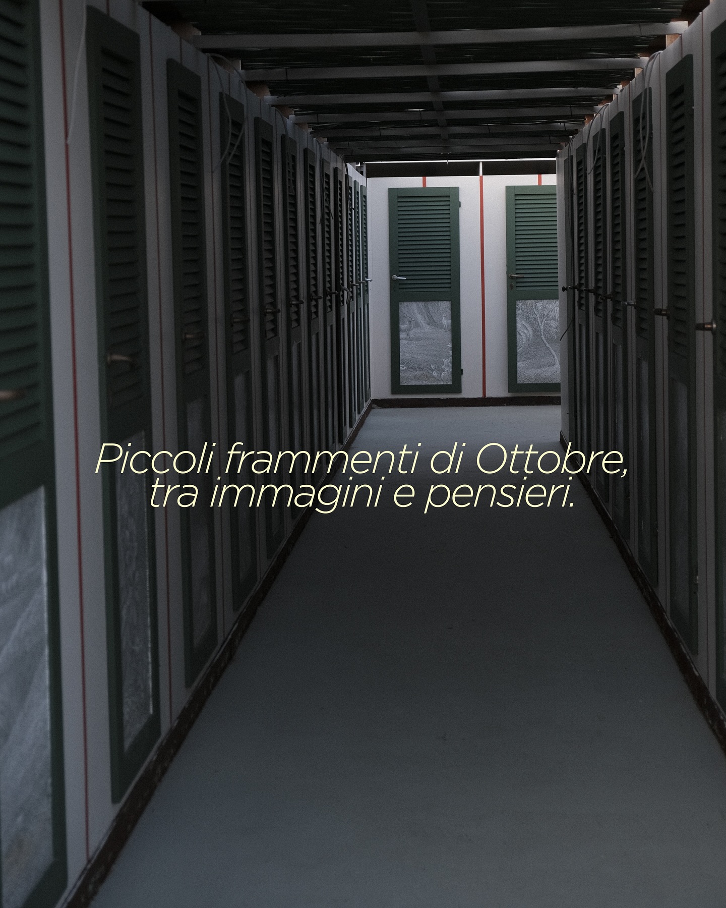 Ottobre è volato.
Con lui gli ultimi giri in moto, la luce calda dei pomeriggi lunghi e le giornate che si accorciano.
Non mi sono mai piaciuti i mesi freddi e bui eppure, negli ultimi anni ho imparato ad apprezzarli.
Forse perché, finalmente, mi concedo di rallentare seguendo il flusso delle stagioni.
Lasciare che il buio faccia spazio al silenzio, e il silenzio, a nuove idee.
Il mese che è passato mi sono ritrovata le note del telefono piene di appunti, frasi e parole.
Piccoli pensieri raccolti senza un ordine preciso, che però mi hanno ispirato questo carosello.
E tu? Come vivi questo passaggio di stagione?
📸 @jungle_kia
#fotografiadipersonalbranding #fotografiaemozionale #fotografia