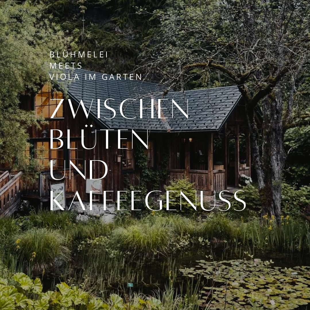 Im idyllischen Viola im Garten genießen wir nicht nur das unvergleichliche Ambiente bei Kaffee & Kuchen sondern wir gestalten gemeinsam einen Loop mit den naturbelassenen Slowflowers der Blühmelei aus Ardning.
Ein Nachmittag zum Aufblühen 💛
28.11.2025 | 15:00 - 17:00
Infos & Buchung:
bluehmelei.at/workshops
#blühmelei #slowflowers #workshopliebe #trockenblumen #violaimgarten #blumenliebe #handgemacht #steiermark #flowerworkshop