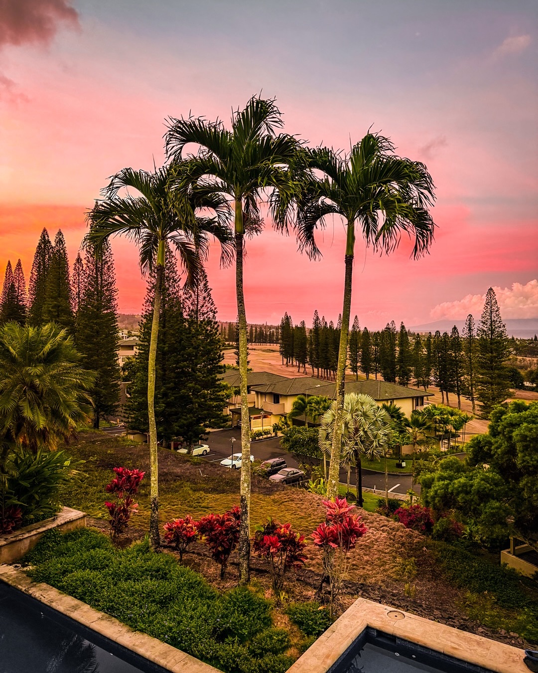 Maui, where the ocean hums louder than your thoughts.
Salt in your hair, wind on your skin and barefoot.
No filters. No timelines. Just raw beauty and deep breath.
📍Kapalua, Maui
Wild. Barefoot. Alive. 🌊
#SaltyLuxeAdventures #MauiMagic #BarefootLuxury #WanderWell #RealLifeMagic #oceanmedicine