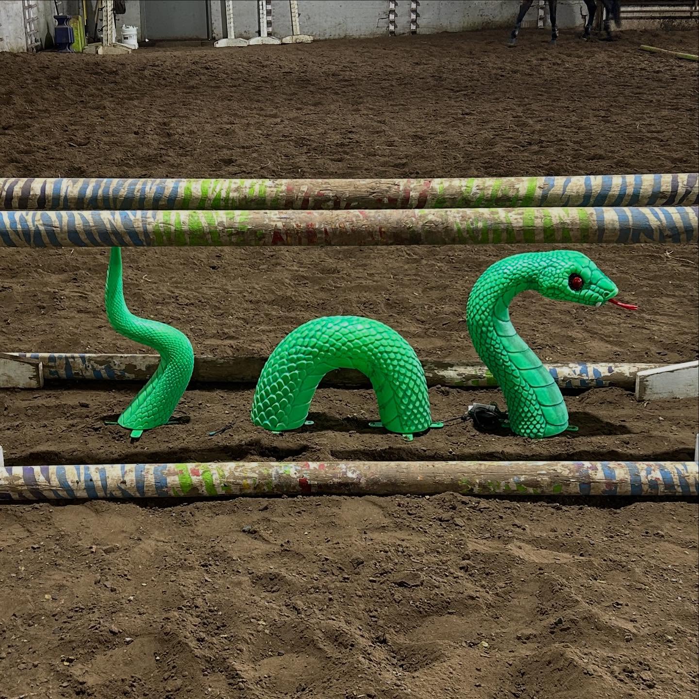 Happy Halloween everyone! Looking forward to our Annual SsssssugarTide Sssssspookfest this Sunday where our friend Sir Pentious will be keeping watch over our Gambler’s Choice Joker jump! 🐍