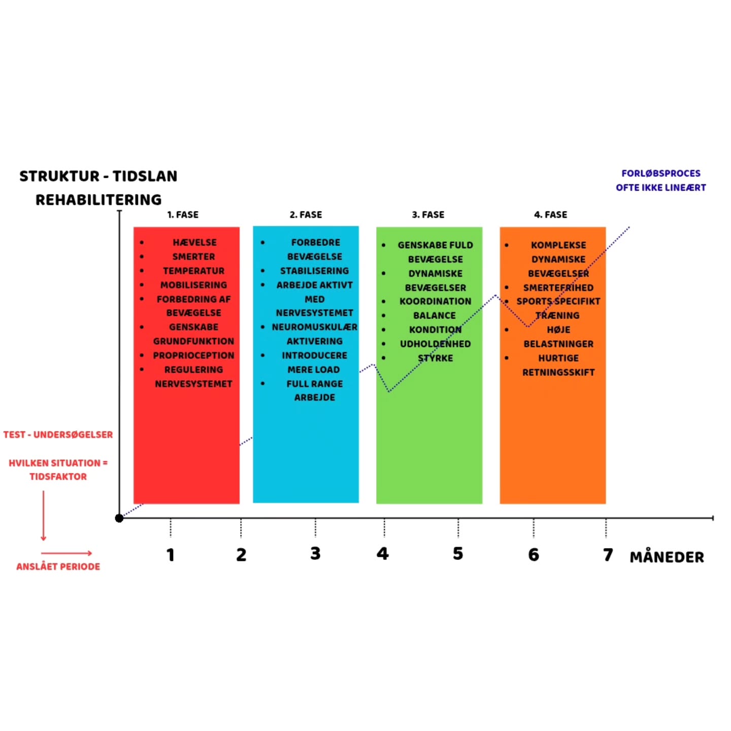 🌿 Rehabilitering er en proces – ikke et kapløb
Når kroppen skal hele efter en skade, følger den sin egen rytme.
Det tager tid at genskabe bevægelse, stabilitet og tryghed i systemet.🧠
Det er super vigtigt for mig at udtrykke, at den "rigtige" vurdering af situationen er altafgørende for planen og resultatet. !
Skab et samarbejde med en fagperson, som virkelig kan hjælpe dig.
Rehab består typisk af flere faser:
🔹 Fase 1: Dæmp hævelse og smerte, genvind grundfunktion og bevægelse.
🔹 Fase 2: Skab stabilitet og kontrol – lær kroppen at arbejde aktivt igen.
🔹 Fase 3: Opbyg styrke, balance og koordination.
🔹 Fase 4: Genskab fuld funktion, tempo og sportsspecifik bevægelse.
👉 Processen er sjældent lineær – nogle dage går det hurtigt frem, andre dage skal du skrue ned.
👉 Nervesystemet er en af de vigtigste del af helingen – ro, søvn, gradvis eksponering, ernæring, tanker og følelser er meget vigtigt.
At forstå, hvor du er i forløbet, og hvad kroppen har brug for netop nu er essentielt.
Tålmodighed og struktur skaber fundamentet til at komme tilbage til det du elsker 💪
Din krop er stærkere end du tror, den skal presses på hensigtsmæssige tidspunkter.
Det er et bud på hvordan et forløb kan se ud
Har du brug for at hjælpe, så ræk ud ➡️
#rehabilitation #vejrtrækning #biomekanik #biokemi #posture #nervesystemet #smertefri #bevægelse #ernæring #fordøjelse #plan #behandling