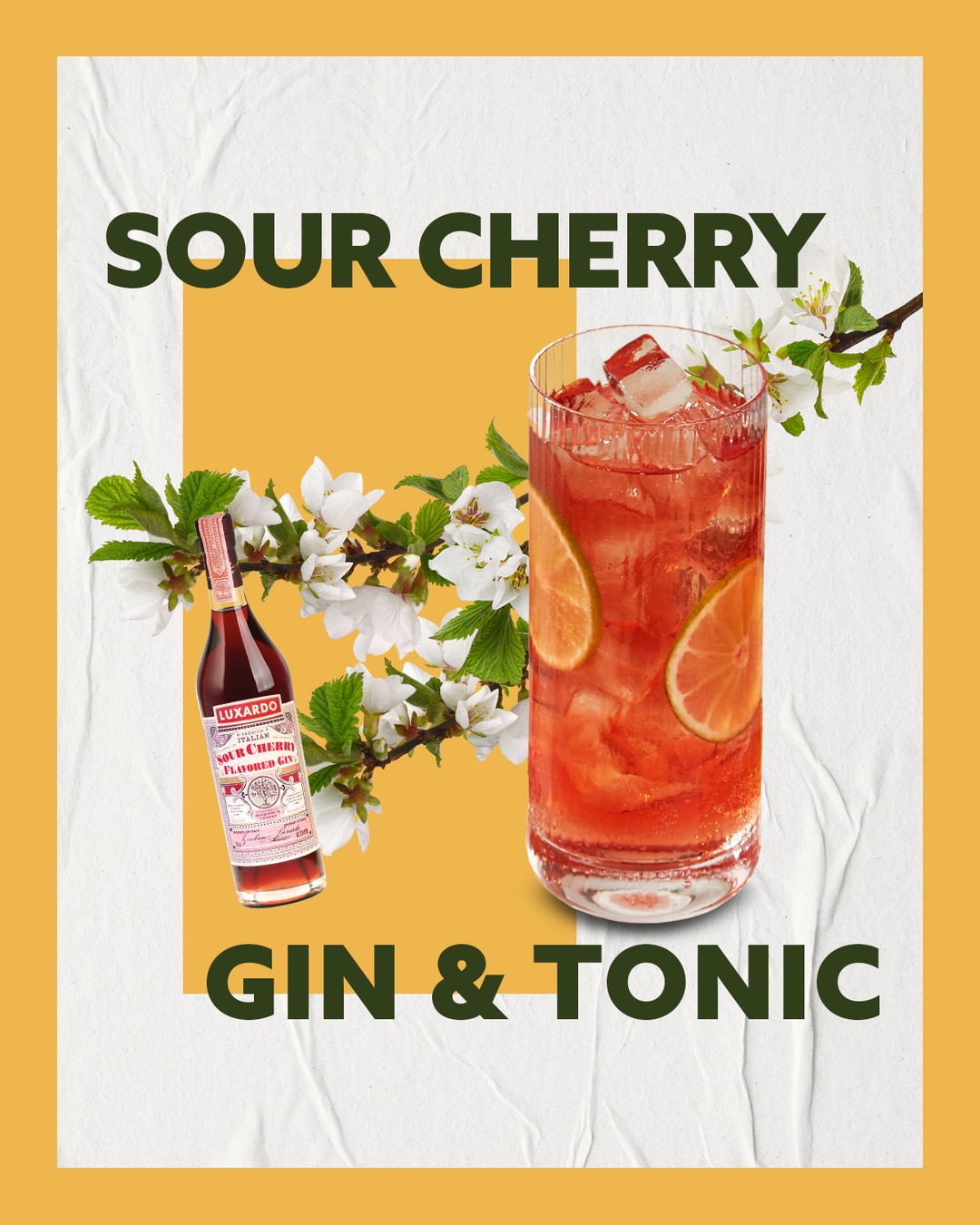 A classic, with a cherry on top. 🍒✨ This Sour Cherry Gin & Tonic is crisp, refreshing, and just the right touch of sweet-tart flavor to make your G&T stand out. 🍸🌿