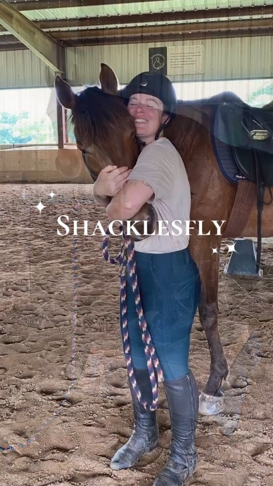 Watch for the very sweet moment at the end! It is always a treat to share updates on our horses that have gone on to their second careers! Here's a nice little update from the new owners of Shacklesfly and Heartbreaker! Thanks to the efforts of @secondstride and their follow-up process that helps ensure the horses are safe and happy!