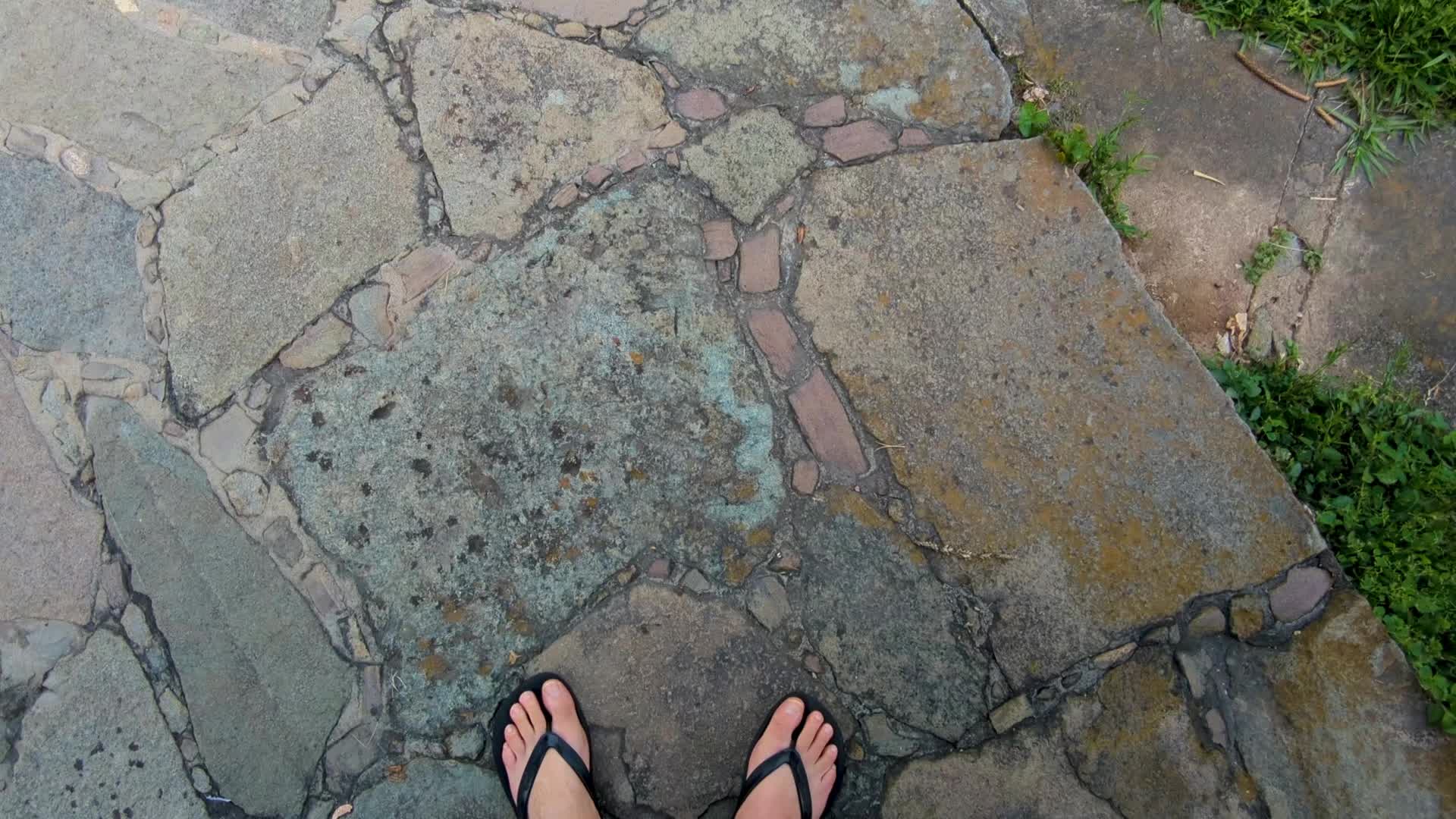 These rock tiles are showing signs of new life 👀