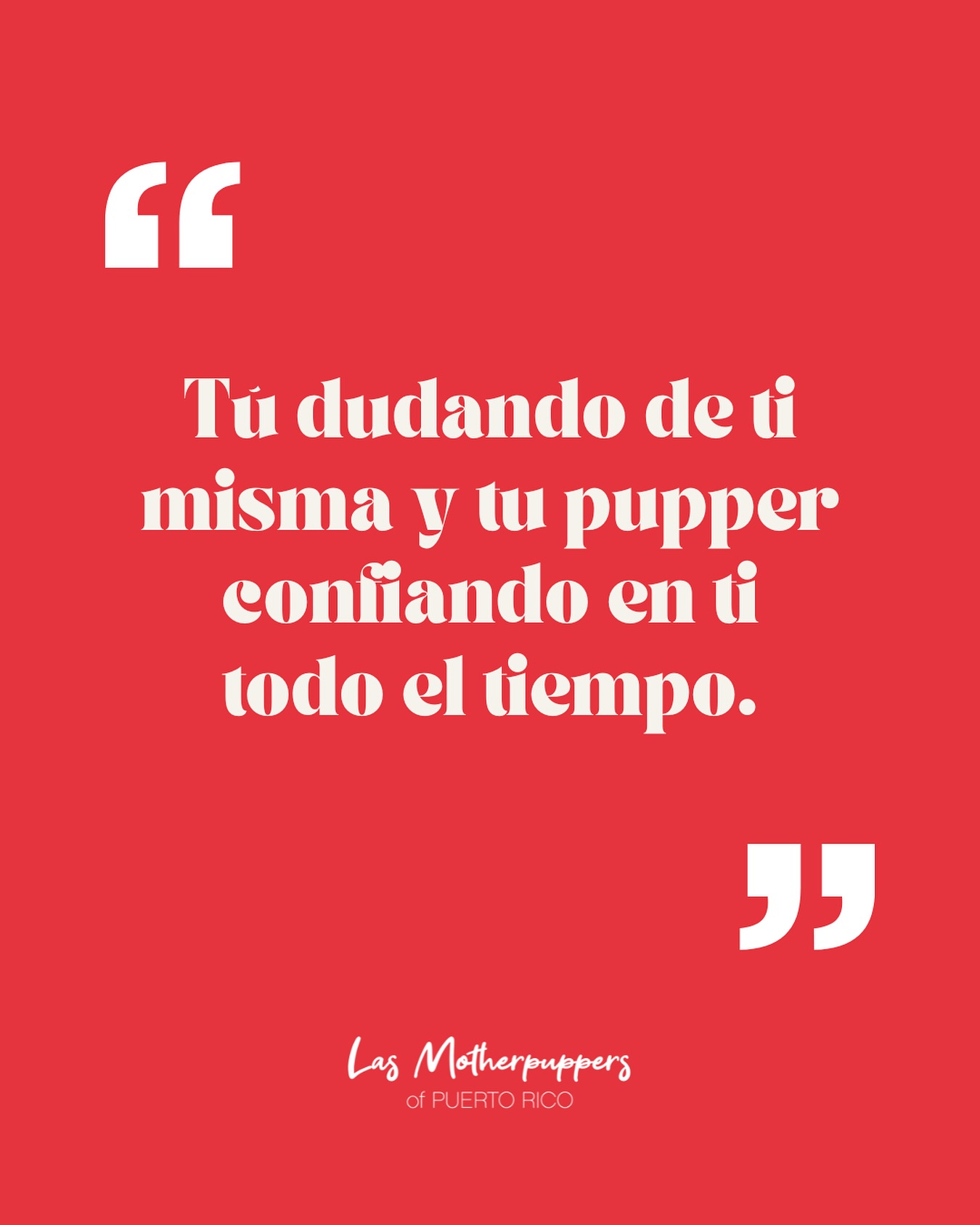 A veces olvidamos lo que somos capaz… hasta que vemos esos ojitos que confían en nosotras sin dudarlo ni un segundo. 🐾🧡
📲 www.dogmomsofpr.com
#DogMomEnergy #LasMotherpuppers #dogmomsofpr #puertorico #dogmomquotes #madresperrunas #dogsofpuertorico #perrosdepuertorico #dogmomsofinstagram