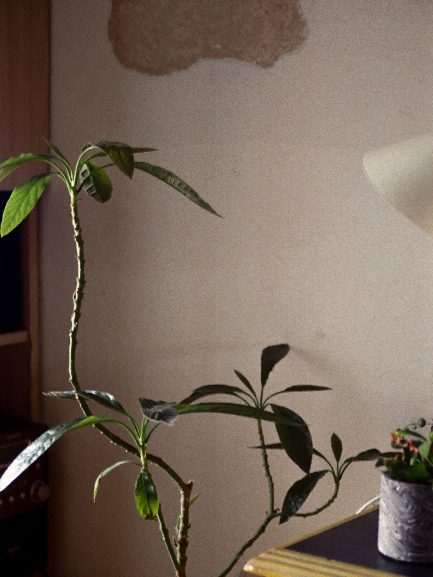 #theheracircle #aesthetics #headofdüsseldorf #femalecommunity