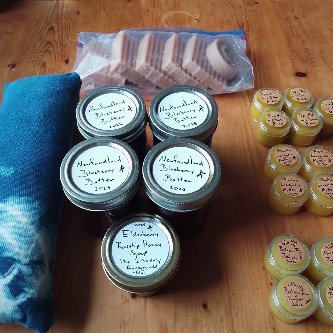 Gathering offerings for Toronto, and our first snowfall. 💙🤍🫶