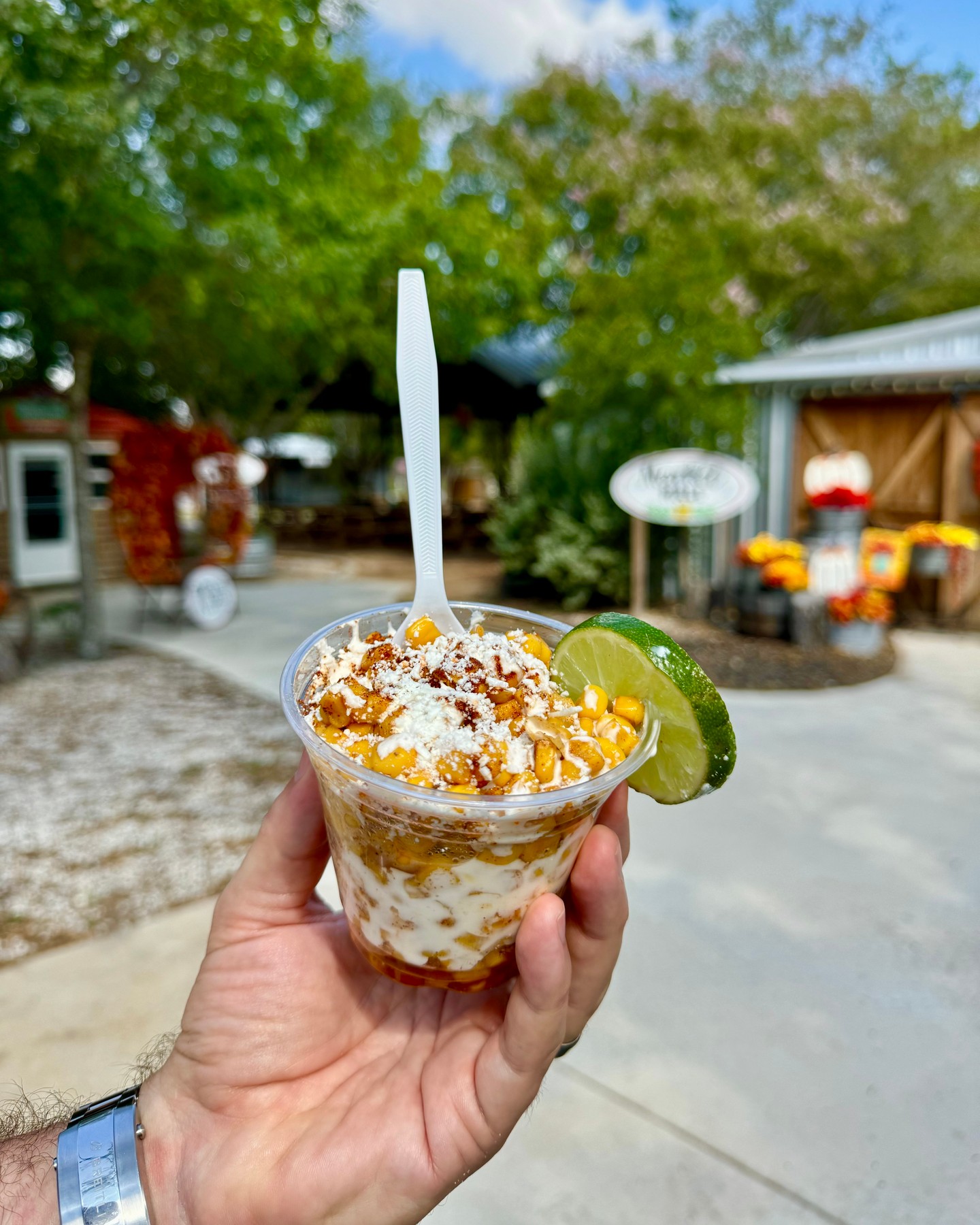 Treat yourself to our corn in a cup from our Kettle Silo! 😋🌽
Final weekend of fall!
Saturday & Sunday 12-6