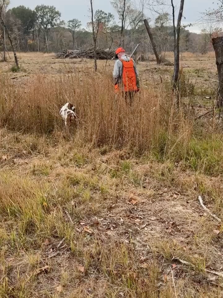 Enjoyed having this crew out yesterday. Cleaned a bunch of birds!
.
.
.
#schillingsgundogs #schillingsgundogstraining #sgdtraining
#uplanddogtraining #uplanddogtrainer
#gundogtraining #gundog #birddogtraining #birddog #retriever #retrievertraining #guidedhunts