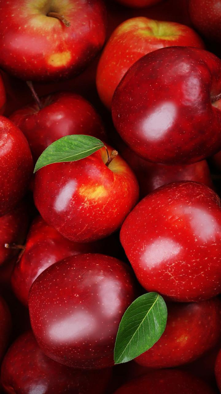 Intact Color – color that works, from farm to fork
Pink Lady Äpfel im roten Kleid sind nicht nur ein Genuss fürs Auge, sondern enthalten – je intensiver die Farbe – umso mehr wertvolle Nährstoffe wie Anthocyane, Polyphenole und Vitamin C. Das bedeutet für Landwirte einen klaren Mehrwert durch höhere Qualität – und für Verbraucher echten Genuss.
#intactsolutions #growingsolutions #apples #bestapple #pinklady