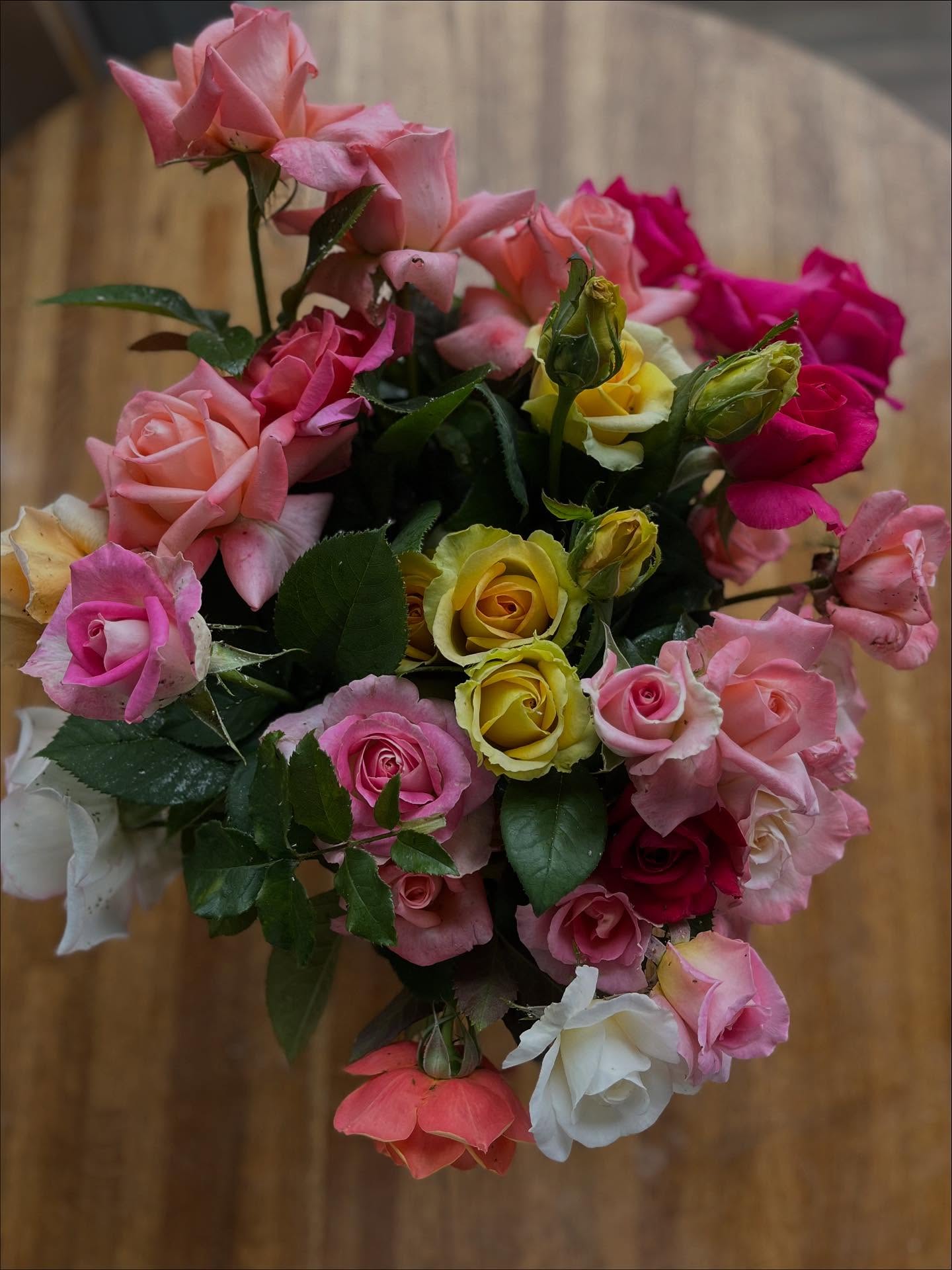 And just like that - our cut flower season comes to a close.
Thank you to everyone who filled their homes, events, and gardens with our blooms this year.
We’ll be back next season with even more to share.
#roses#rosegarden#flowerfarm#gardeninspiration#flowers#gardenersofinstragram#roselife#bouquets#americanrosesociety#bloomsofinstagram#garden#flowers#growlocal#greenhouseroses#flowerproduction