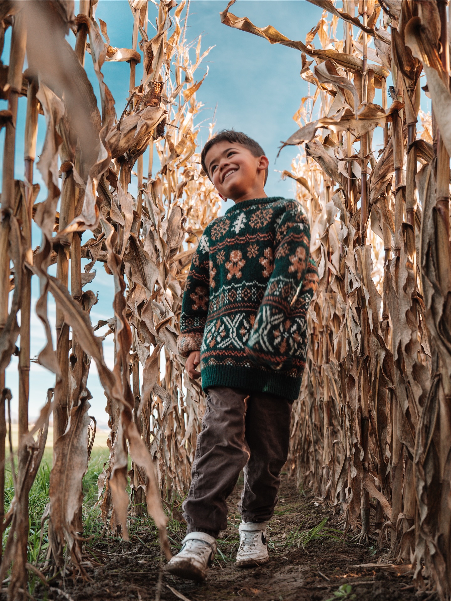 Das war gar nicht geplant – aber das Licht, die Farben und die Stimmung waren einfach zu schön, um die Kamera nicht zu zücken 🍂✨
Ein spontanes Shooting mit meinen Kids und unserem Hund – voller Lachen, Chaos und Liebe.
Ich liebe solche Momente: ehrlich, natürlich und echt.
Wenn du dir genau das auch für deine Familie wünschst, dann ist jetzt die perfekte Zeit für ein Shooting im goldenen Herbstlicht. 🧡
#familienfotografie #herbstshooting #naturlichtfotografie #momente #herbstvibes