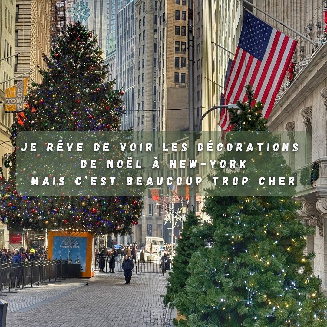 Tu rêves de voir New York à Noël mais tu penses que c’est hors budget ? 🎄🇺🇸
Regarde ça… 👀
✈️ Vol A/R Paris – New York : 486€
🏨 Hôtel 5 nuits : 674€ (soit 337€ par personne)
➡️ Total : 823€ par personne vol + hôtel 😱✨
Et tu veux le meilleur ?
👉 Tu peux passer 5 jours à New-York sans dépenser 1€ pour tes activités !
Pendant notre séjour dans la grosse Pomme 🍏 nos seules activités payantes ont étés : l’observateur du Summit et un match de NBA au Madison Square Garden
Tu peux clairement y aller sans exploser ton budget 🔥
#newyork #christmasnewyork #travelnyc #nyc #voyage #pretadecoller #noelanewyork #lagrossepomme #voyage