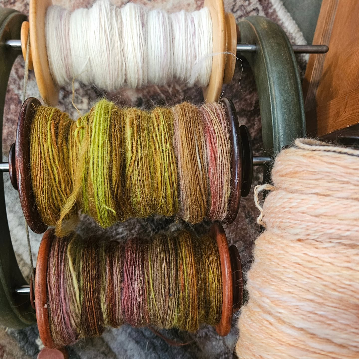 Finishing up some yarn this morning for day 2 of @csoddmall ! On the top left is a mystery wool/silk blend, lower left (2 bobbins) to be plied are Falkland wool dyed by @purlyshellyarn , and on the right is a 2-ply fingering weight Targhee/Silk/Bamboo yarn I finished yesterday, dyed by @artandalchemy.co . Let's do this!
.
#fiberartist #handspunyarn #handspun #oddmall2025 #smallbusiness #horsenroundfiberstudio #womanownedbusiness #notenoughhoursinaday #sustainablefarming #sustainabledecor #sustainablefashion #sustainability #slowfashion #supportlivestockfarmers #supportwoolgrowers #wool